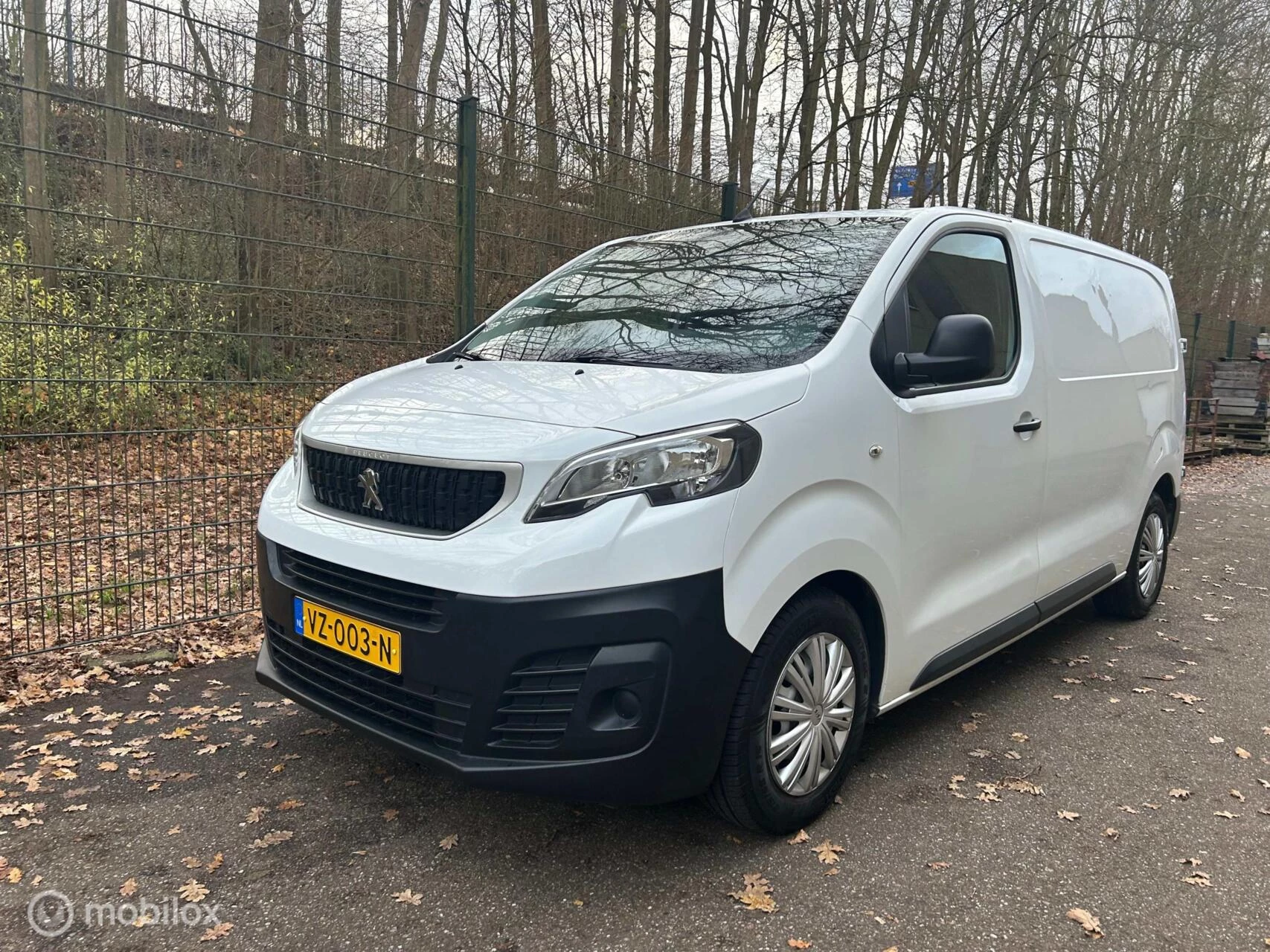 Hoofdafbeelding Peugeot Expert