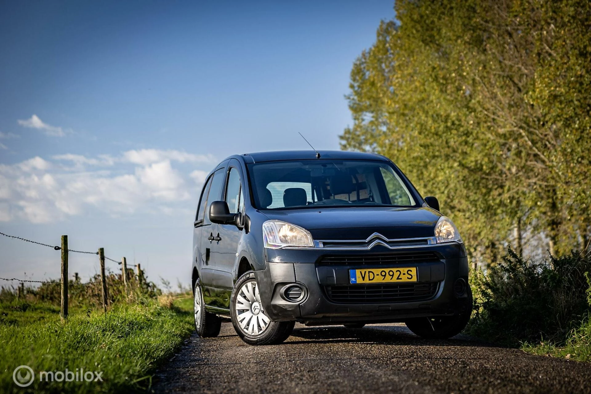 Hoofdafbeelding Citroën Berlingo