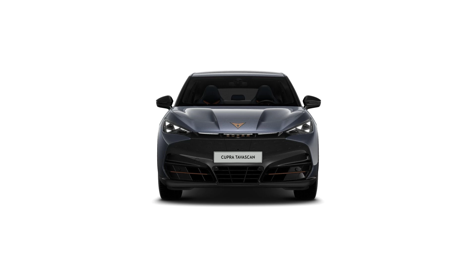 Hoofdafbeelding CUPRA Tavascan