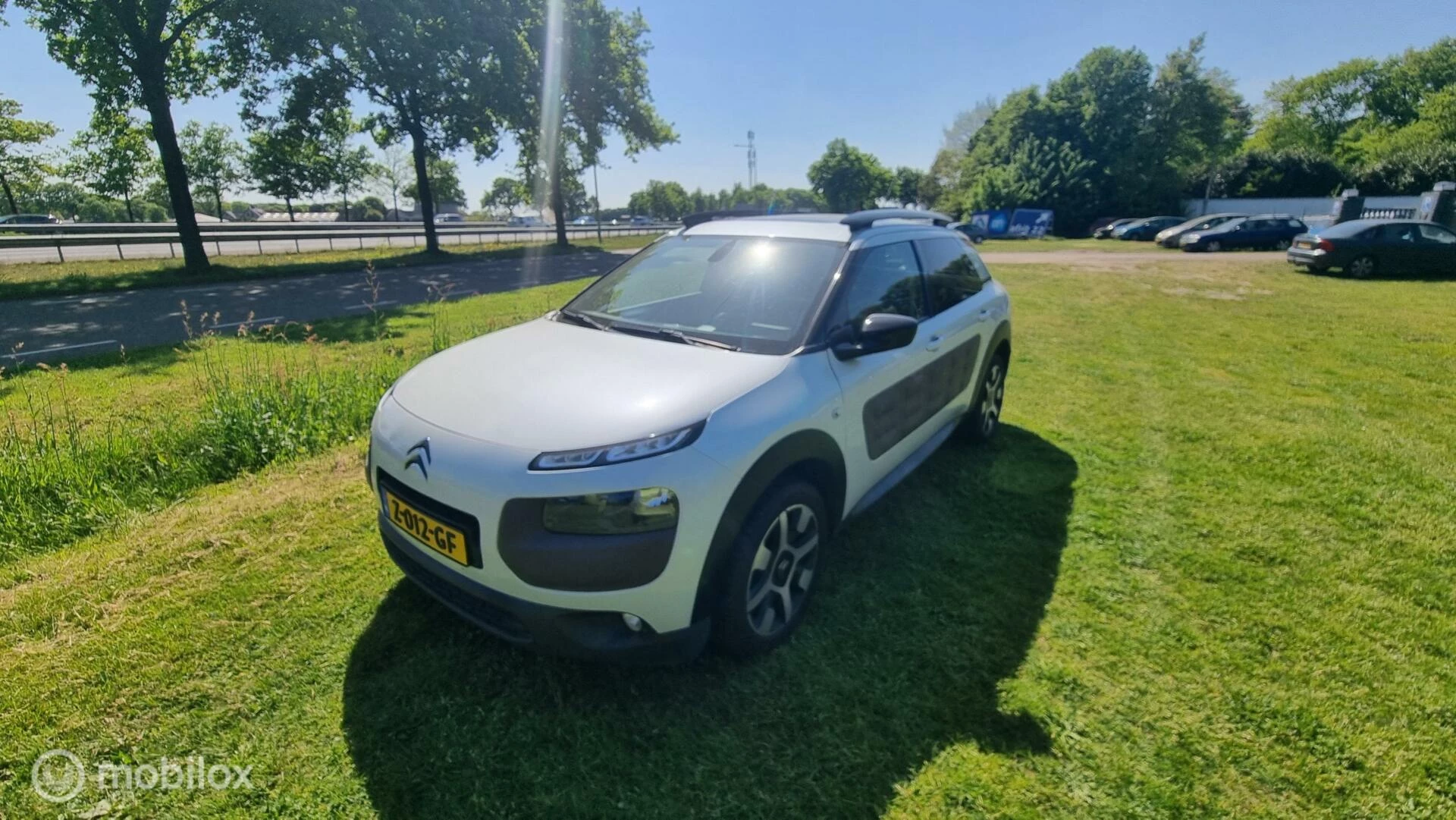 Hoofdafbeelding Citroën C4 Cactus