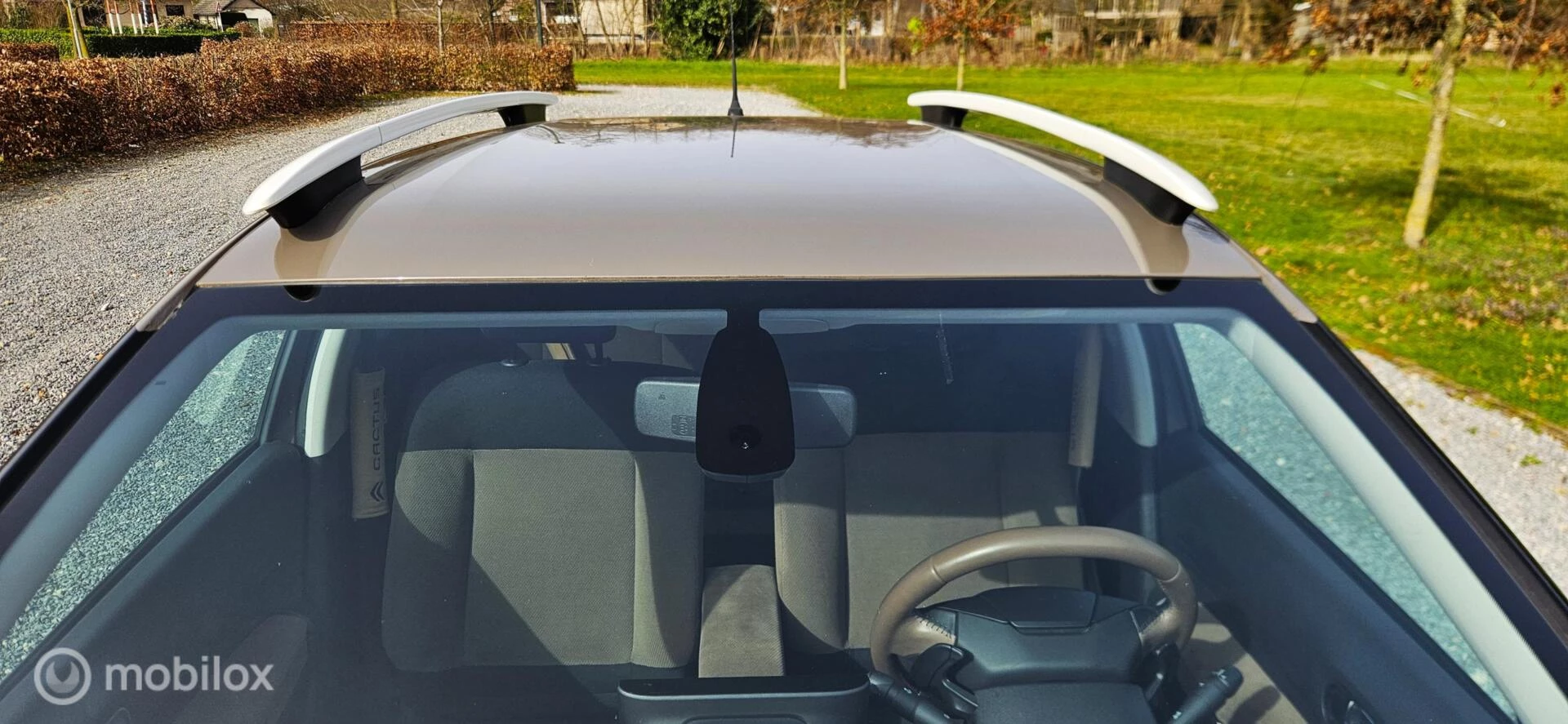 Hoofdafbeelding Citroën C4 Cactus