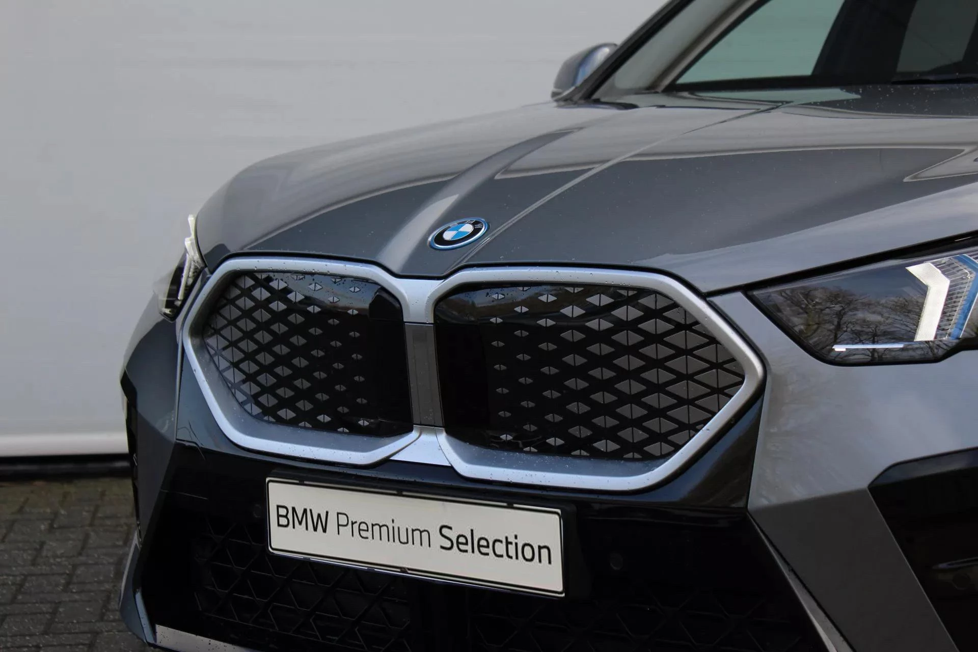 Hoofdafbeelding BMW iX2