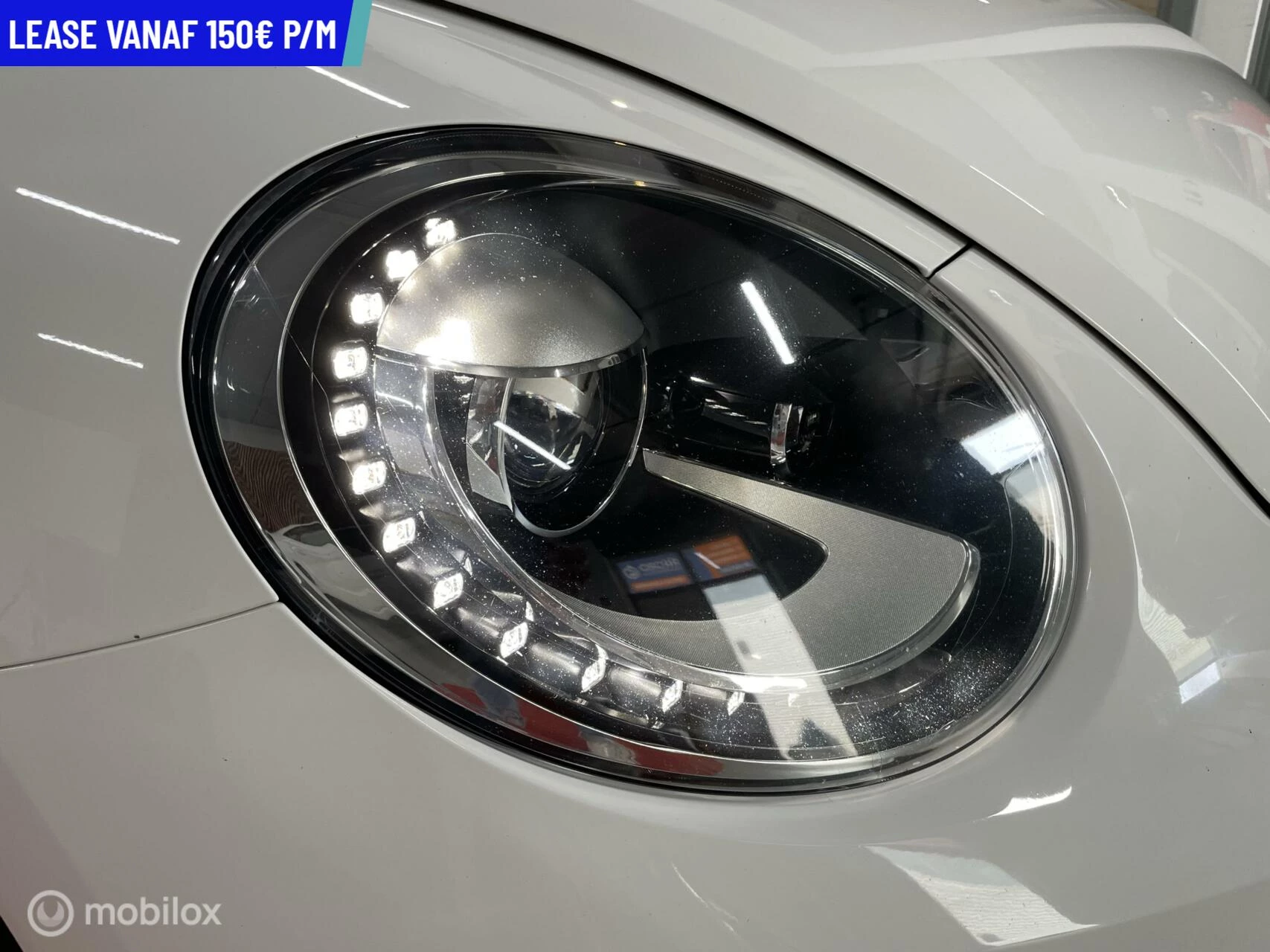 Hoofdafbeelding Volkswagen Beetle