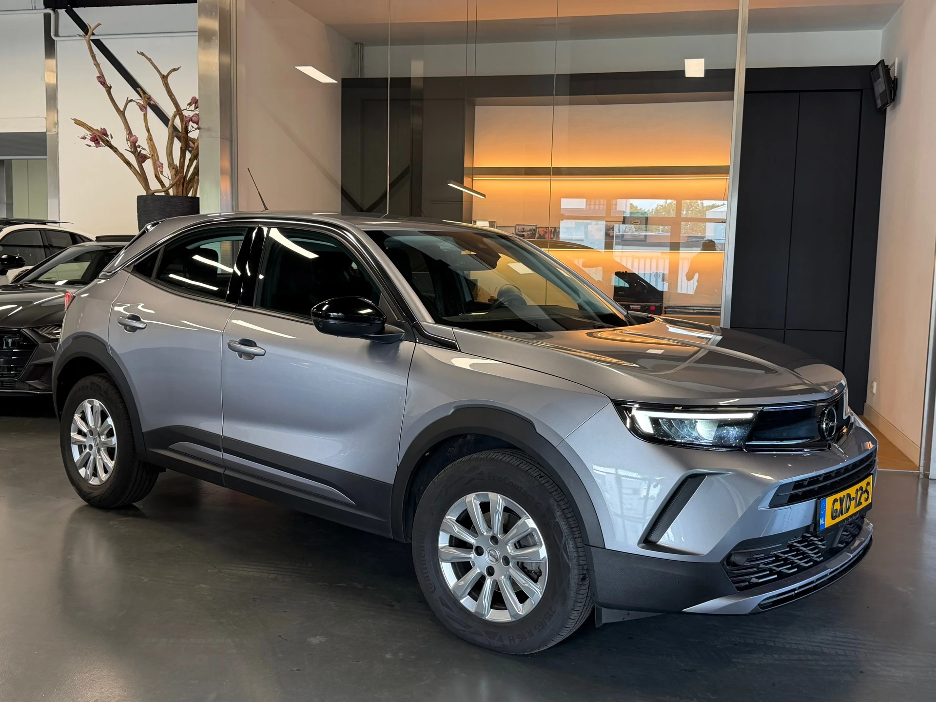 Hoofdafbeelding Opel Mokka