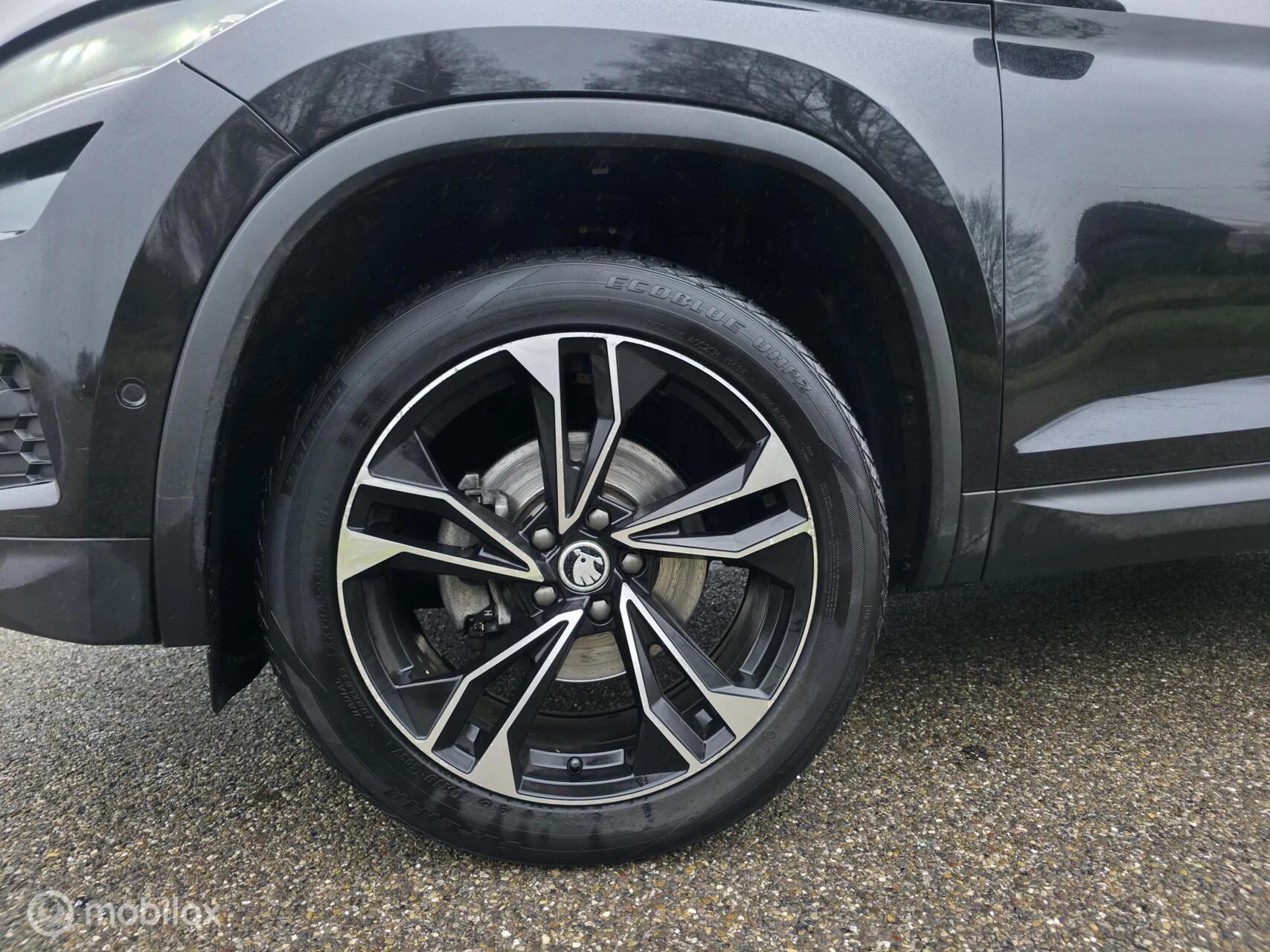 Hoofdafbeelding Škoda Kodiaq