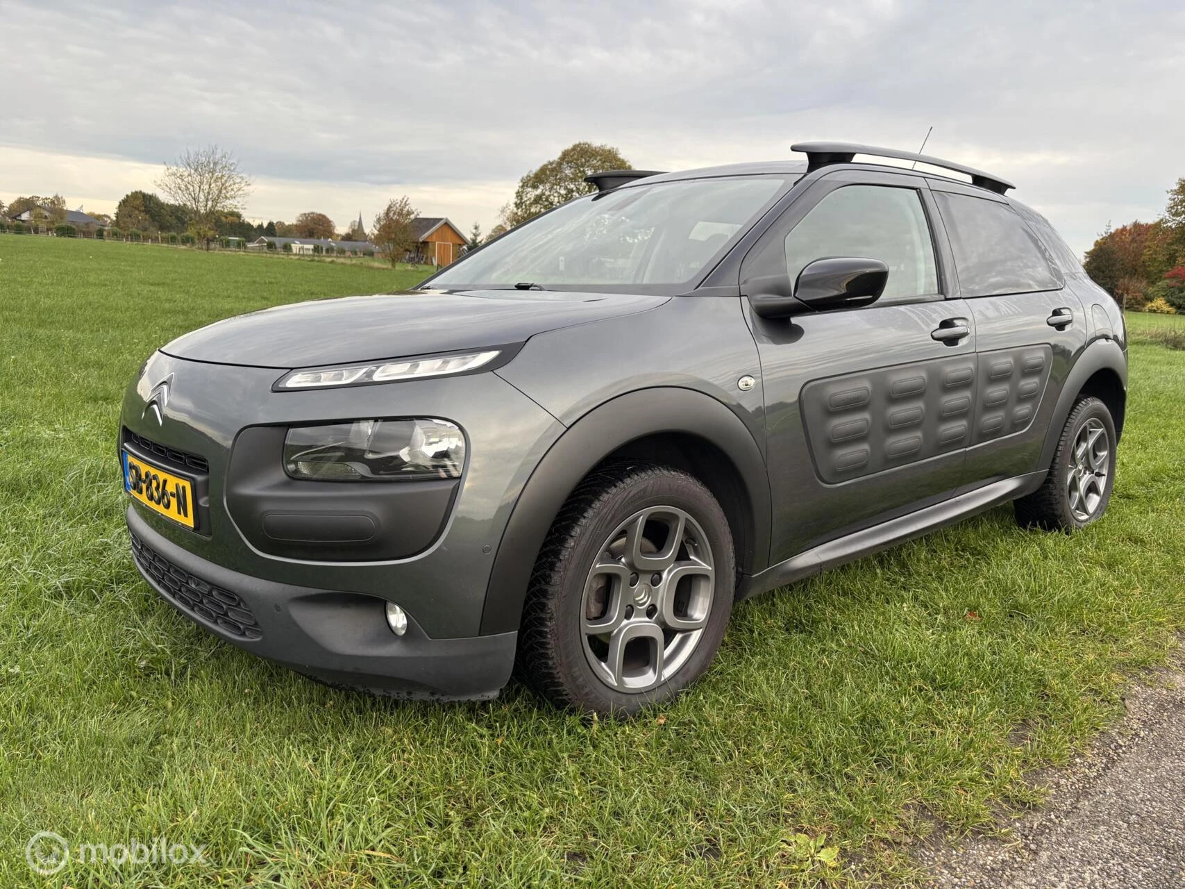 Hoofdafbeelding Citroën C4 Cactus