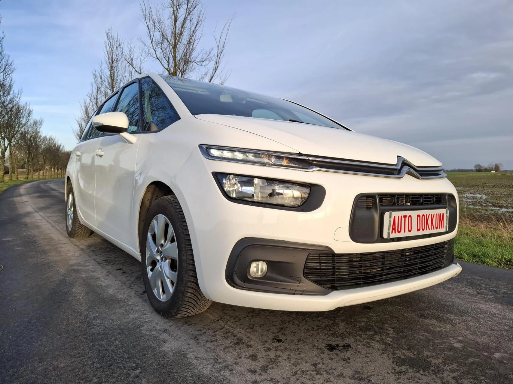 Hoofdafbeelding Citroën C4 Spacetourer
