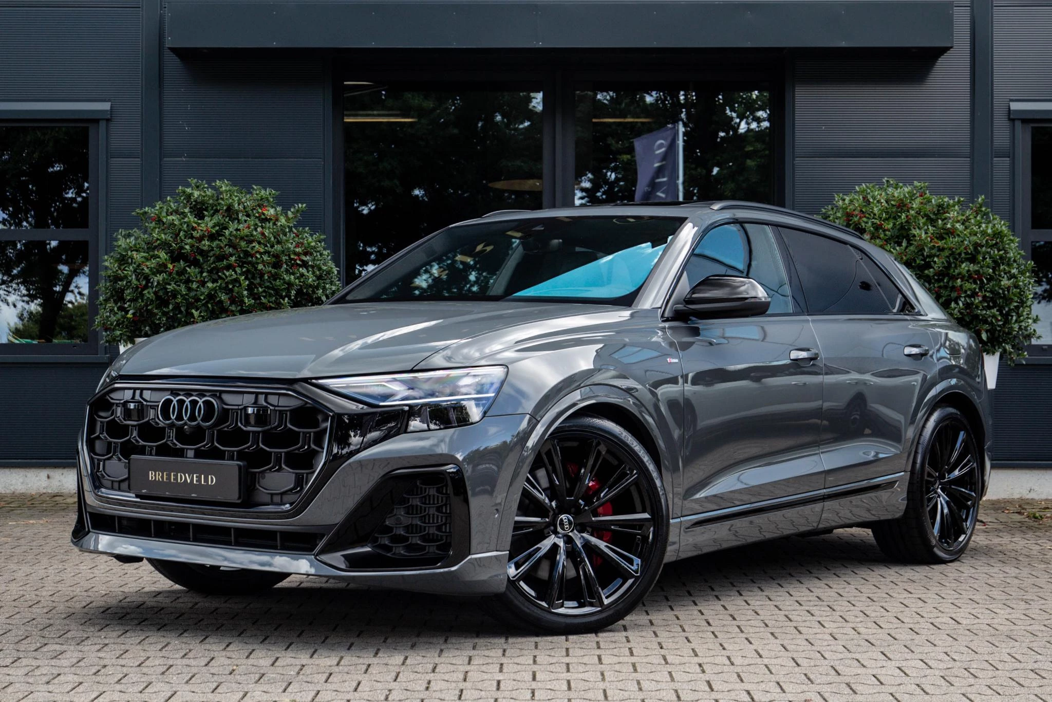 Hoofdafbeelding Audi Q8