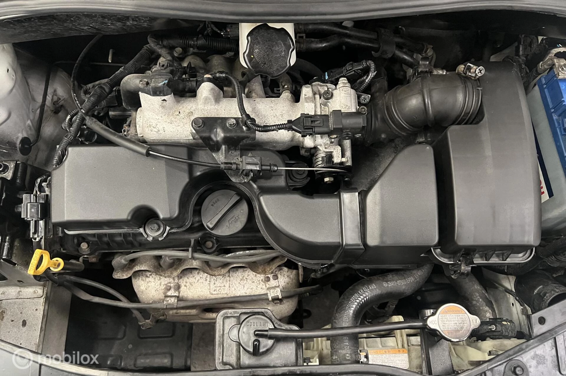 Hoofdafbeelding Kia Picanto