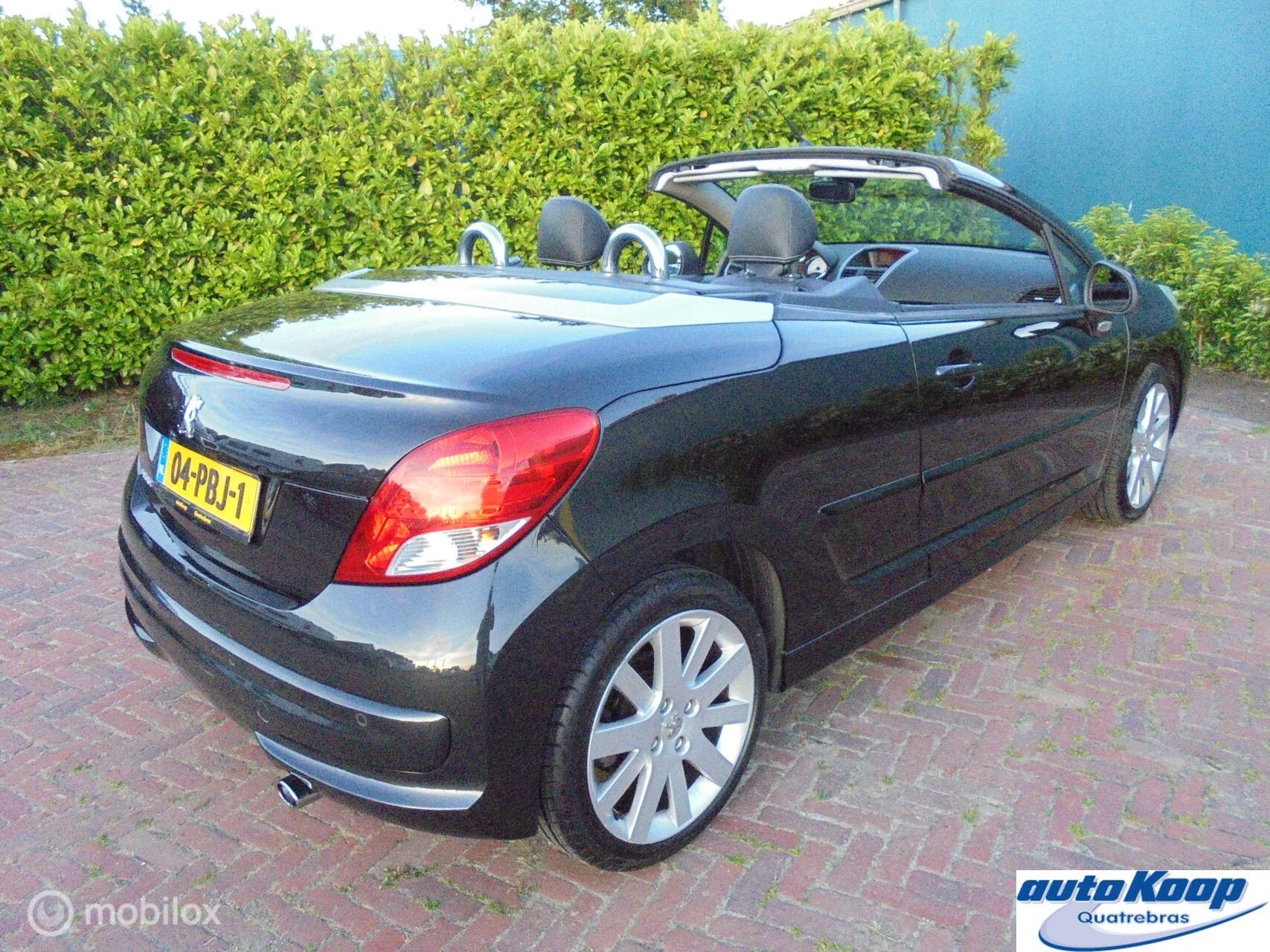 Hoofdafbeelding Peugeot 207