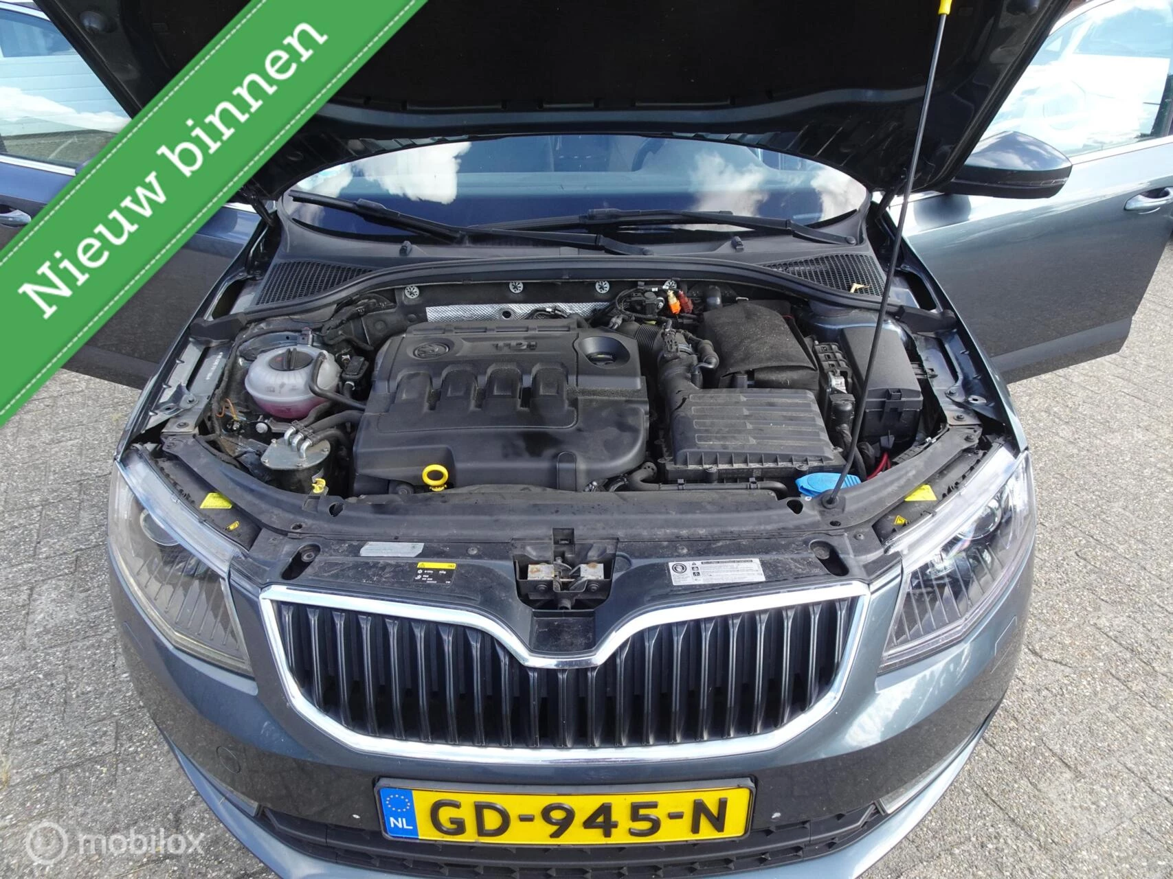 Hoofdafbeelding Škoda Octavia