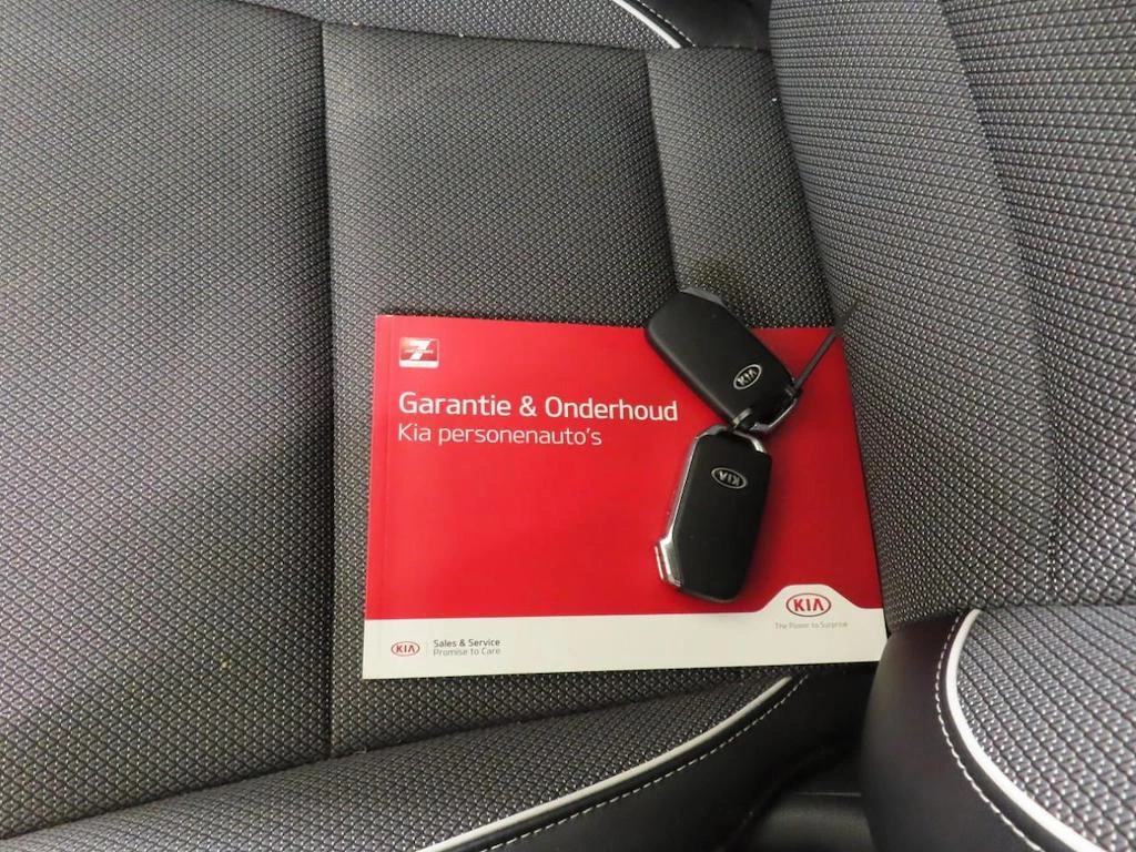 Hoofdafbeelding Kia e-Niro