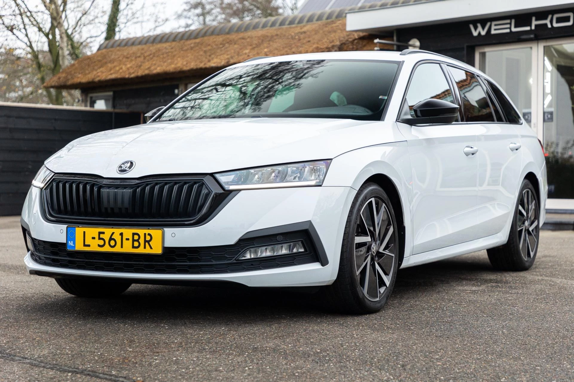 Hoofdafbeelding Škoda Octavia