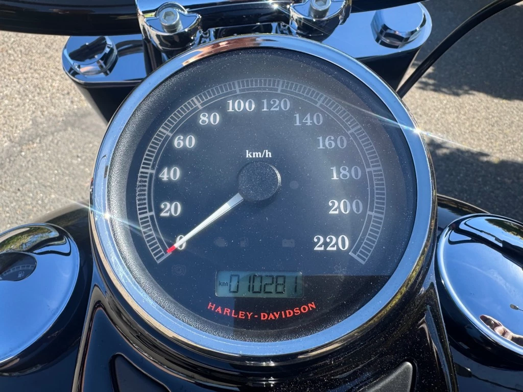 Hoofdafbeelding Harley-Davidson Softail