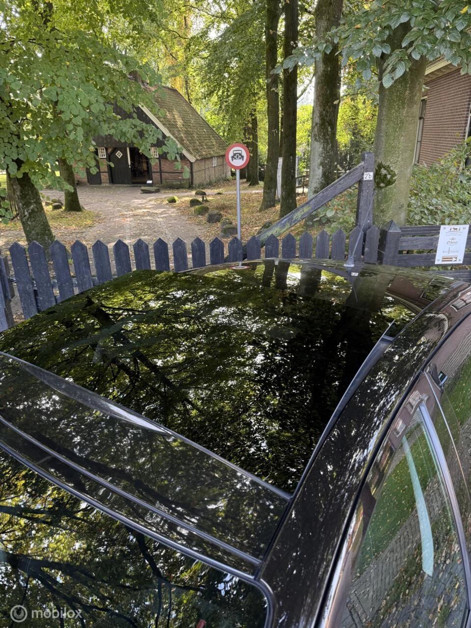 Hoofdafbeelding Fiat Punto