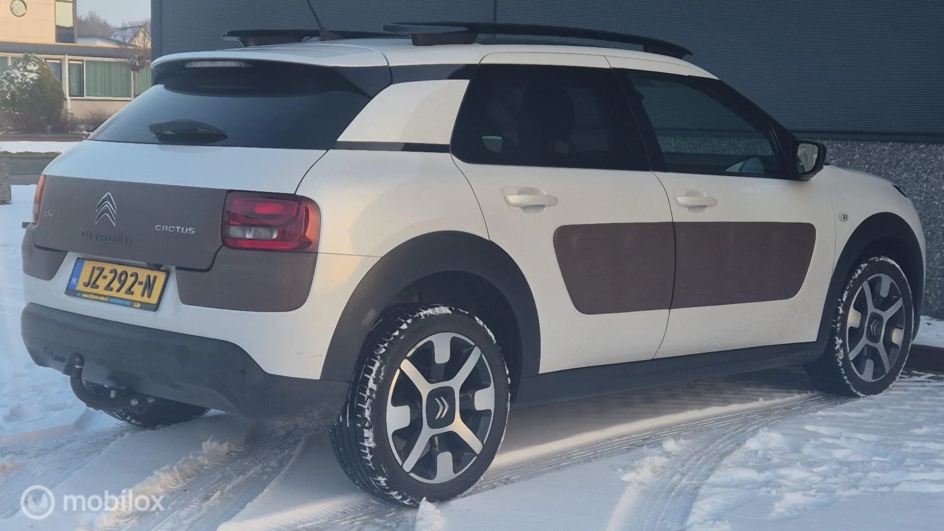 Hoofdafbeelding Citroën C4 Cactus