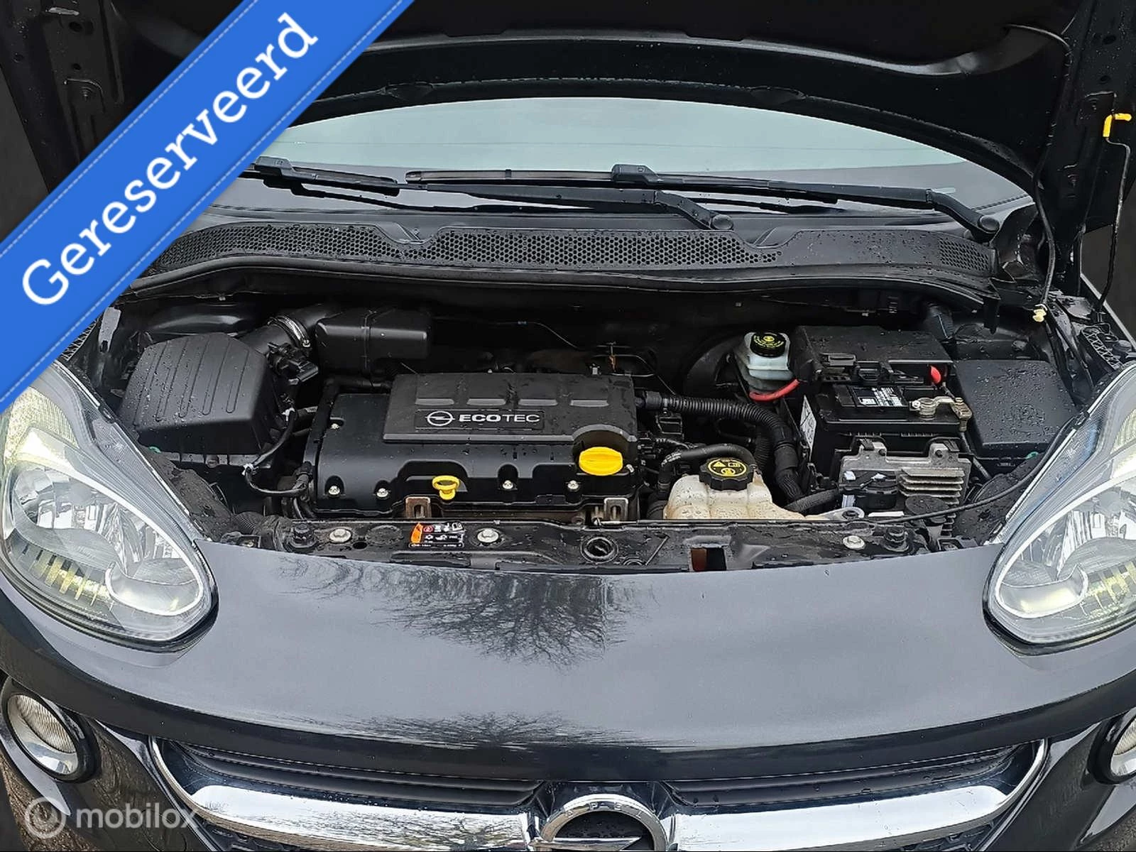 Hoofdafbeelding Opel ADAM