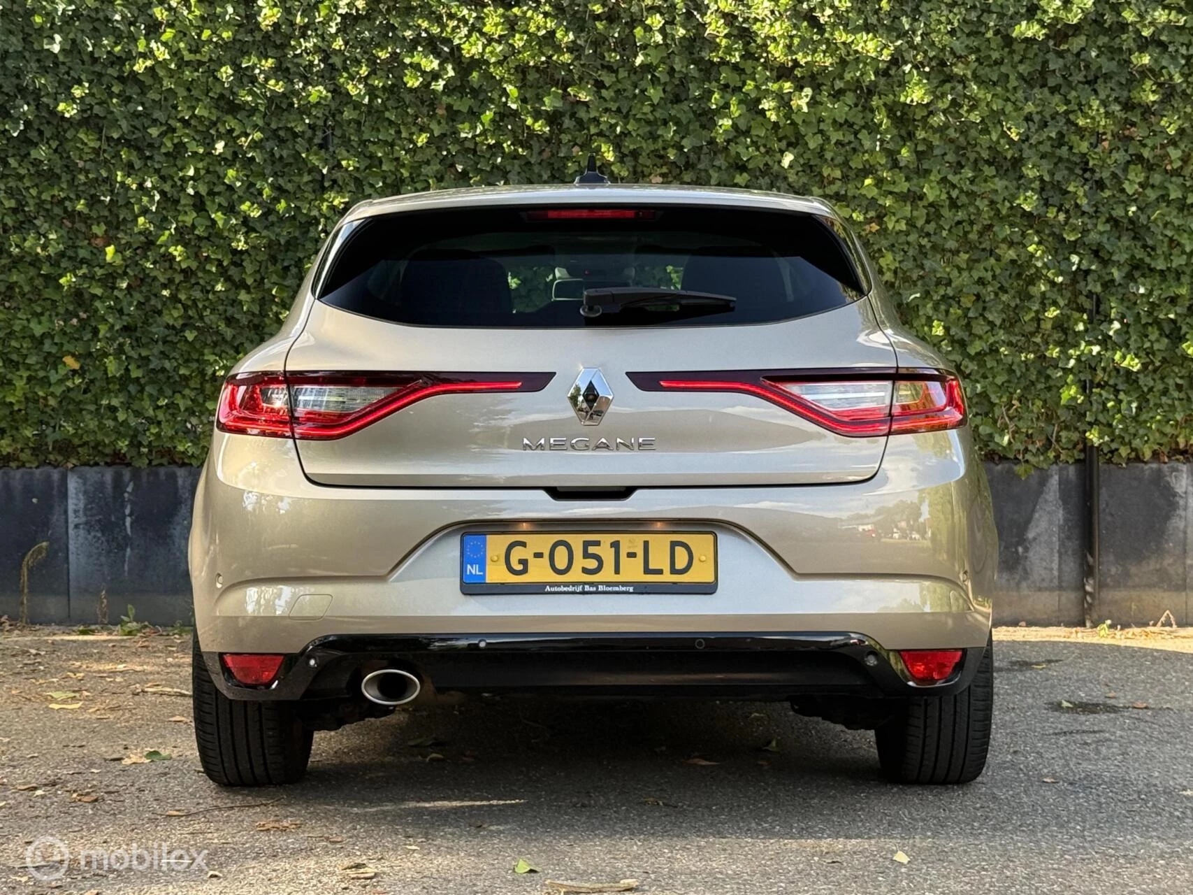 Hoofdafbeelding Renault Mégane