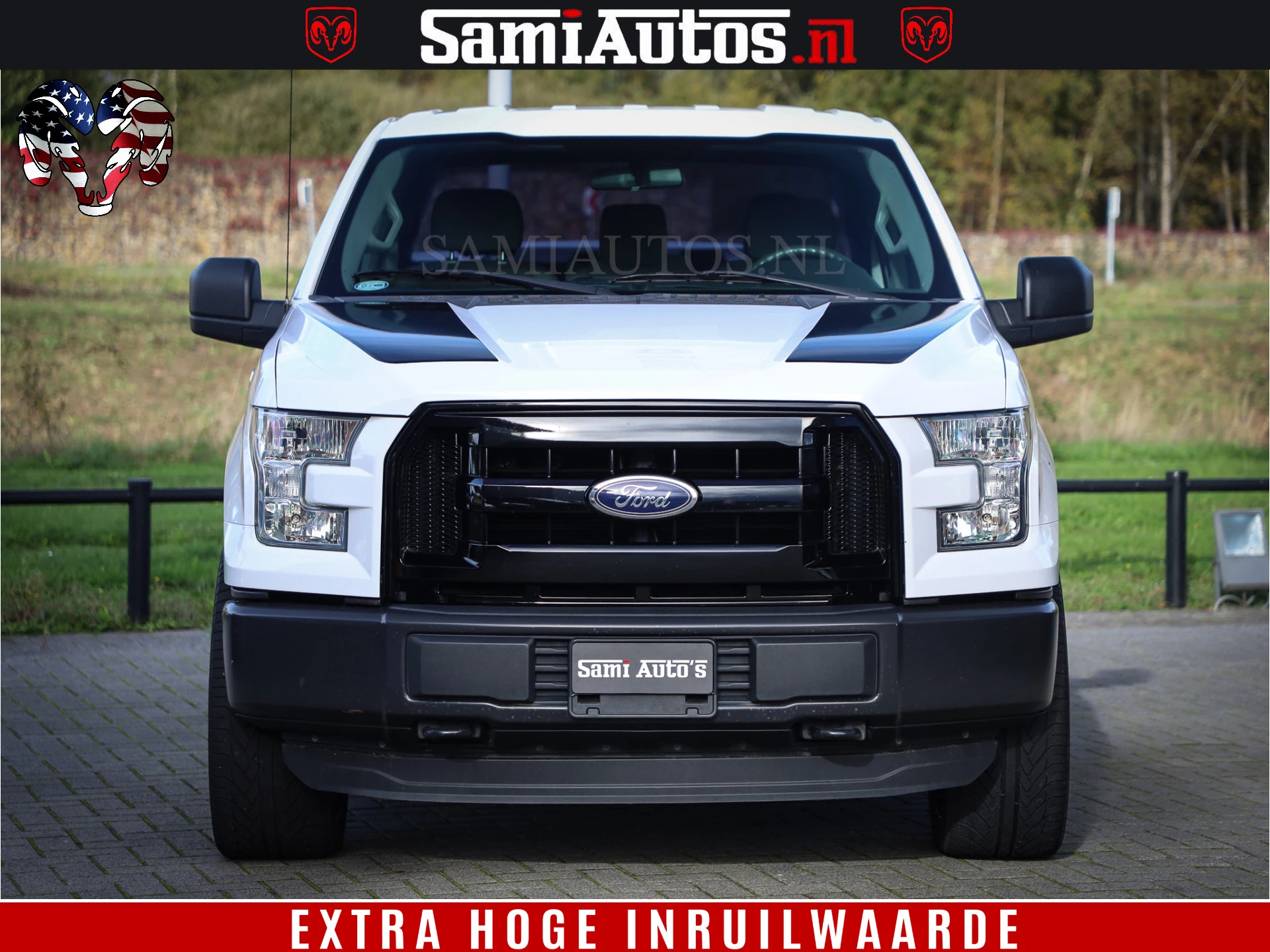 Hoofdafbeelding Ford F-150