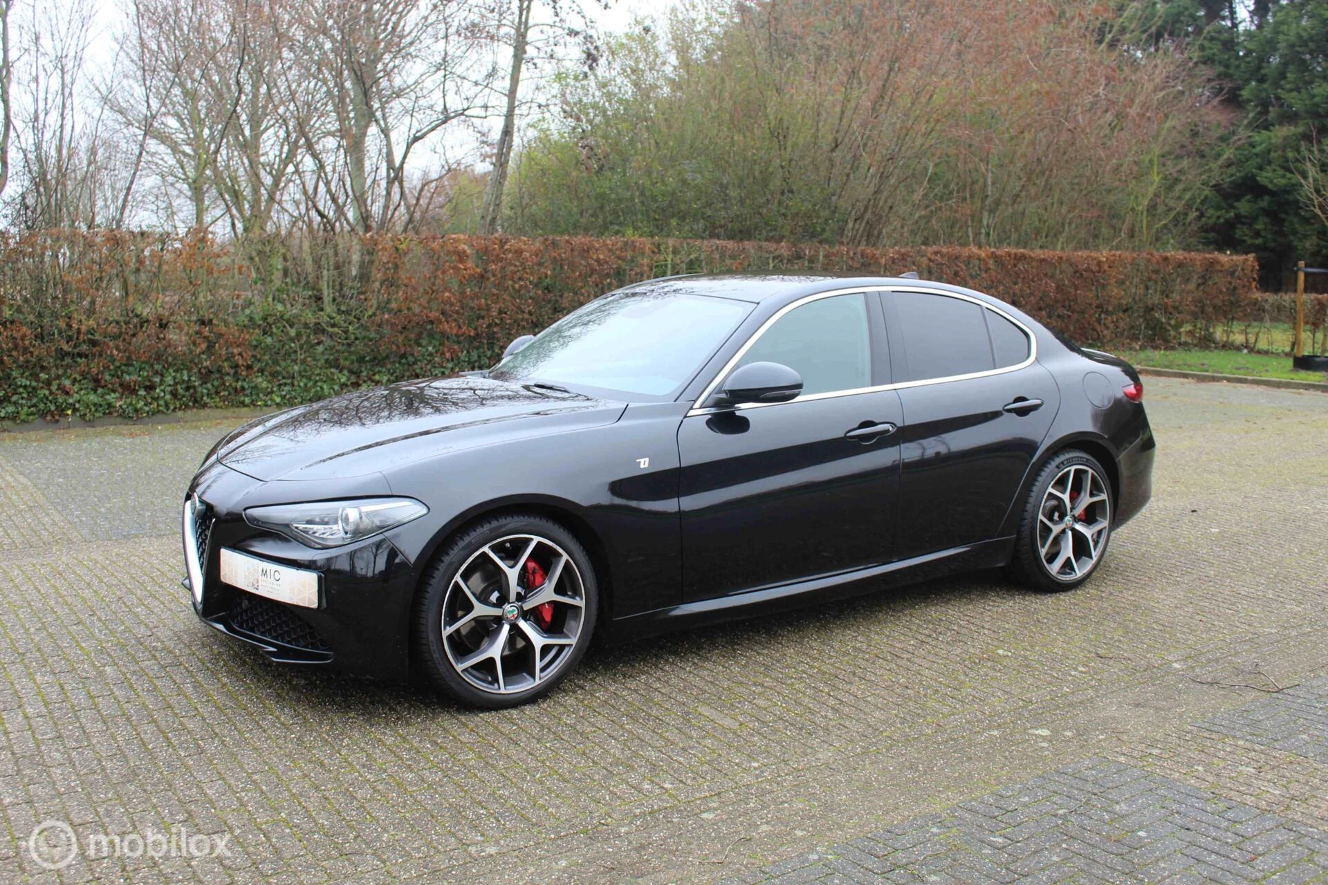Hoofdafbeelding Alfa Romeo Giulia