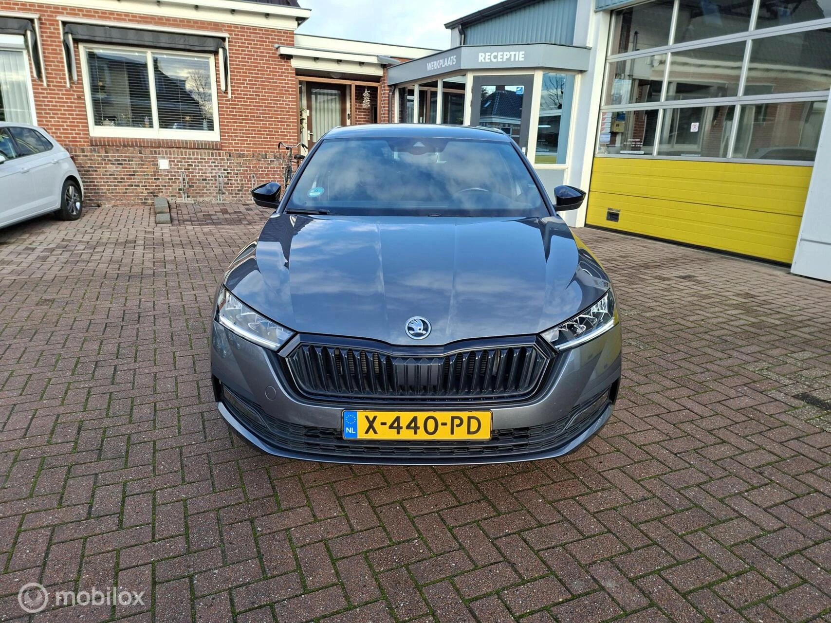 Hoofdafbeelding Škoda Octavia