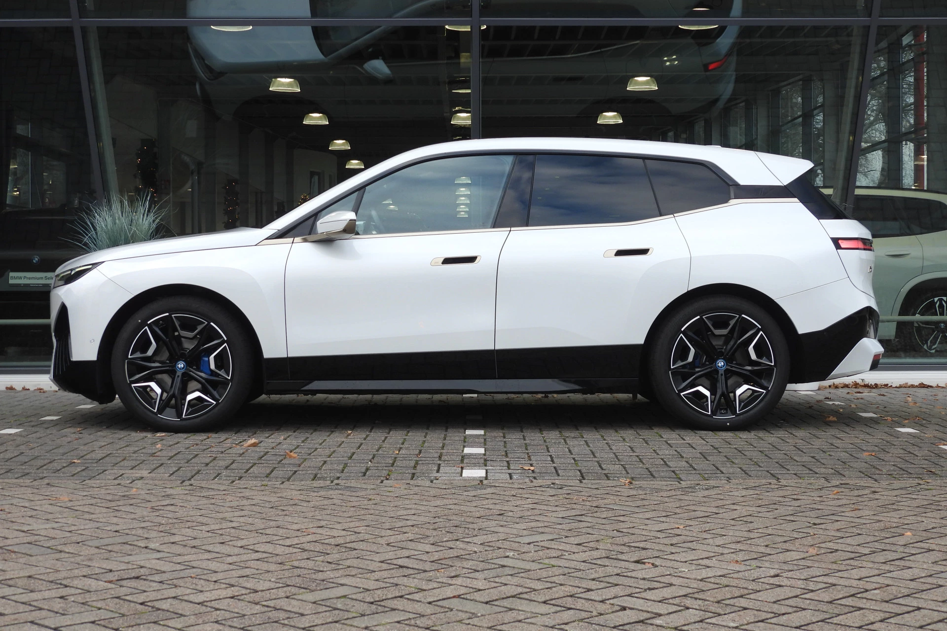 Hoofdafbeelding BMW iX