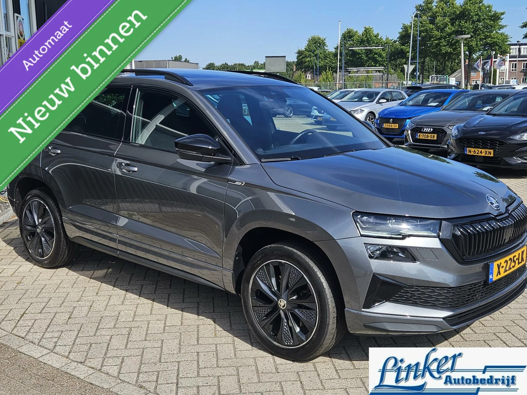 Hoofdafbeelding Škoda Karoq