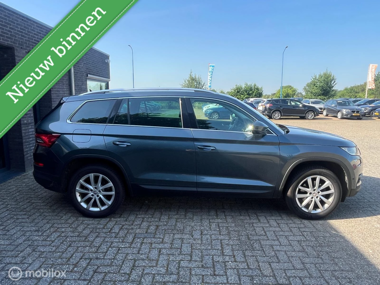 Hoofdafbeelding Škoda Kodiaq