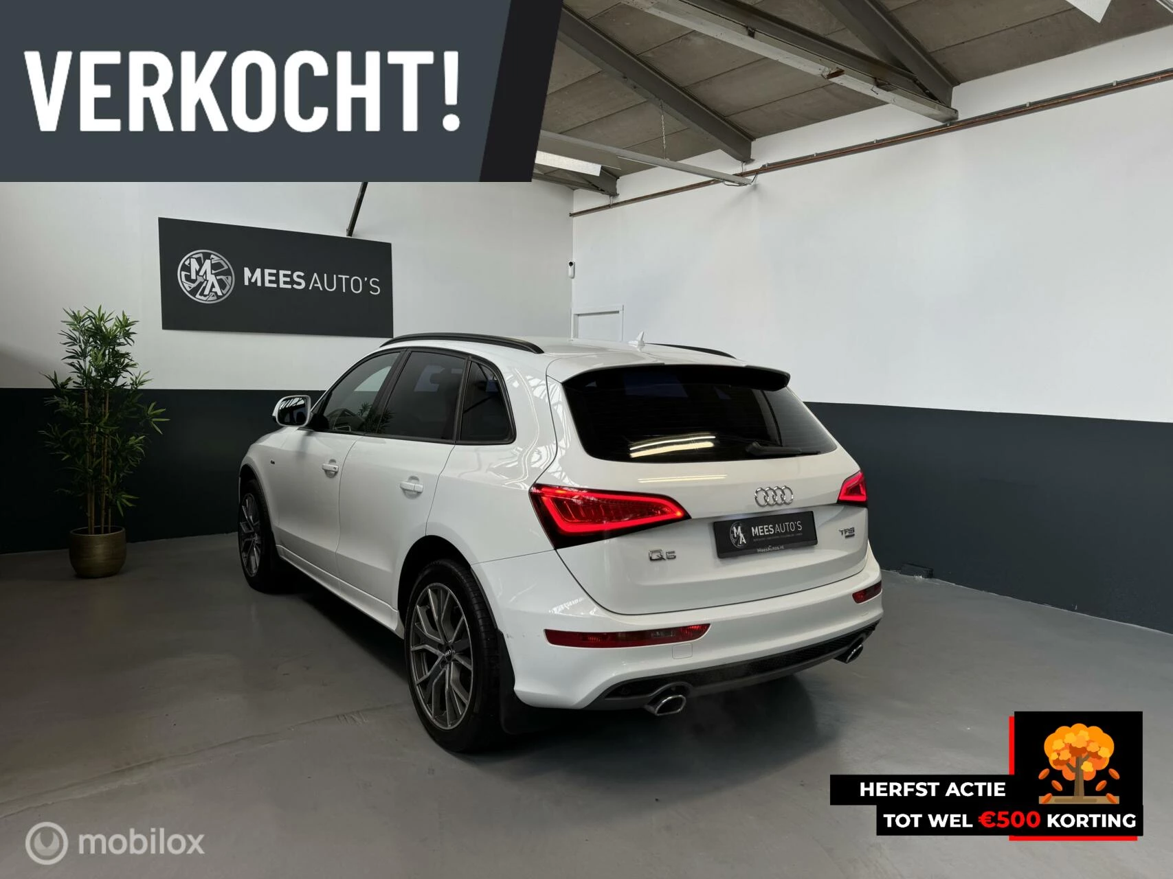 Hoofdafbeelding Audi Q5