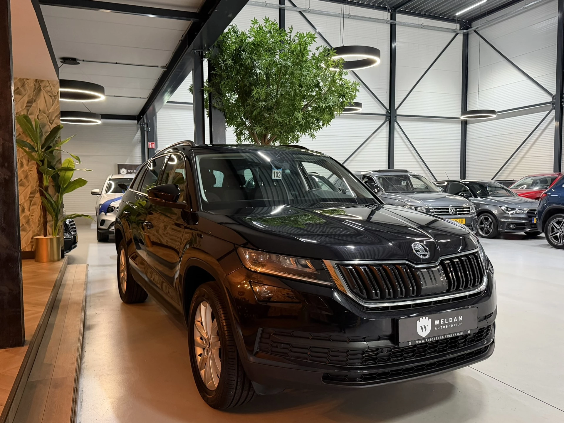 Hoofdafbeelding Škoda Kodiaq