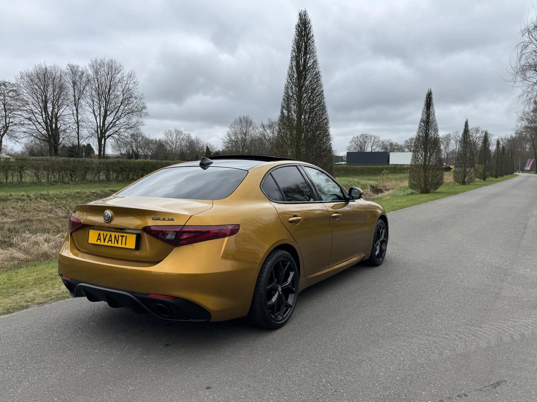 Hoofdafbeelding Alfa Romeo Giulia