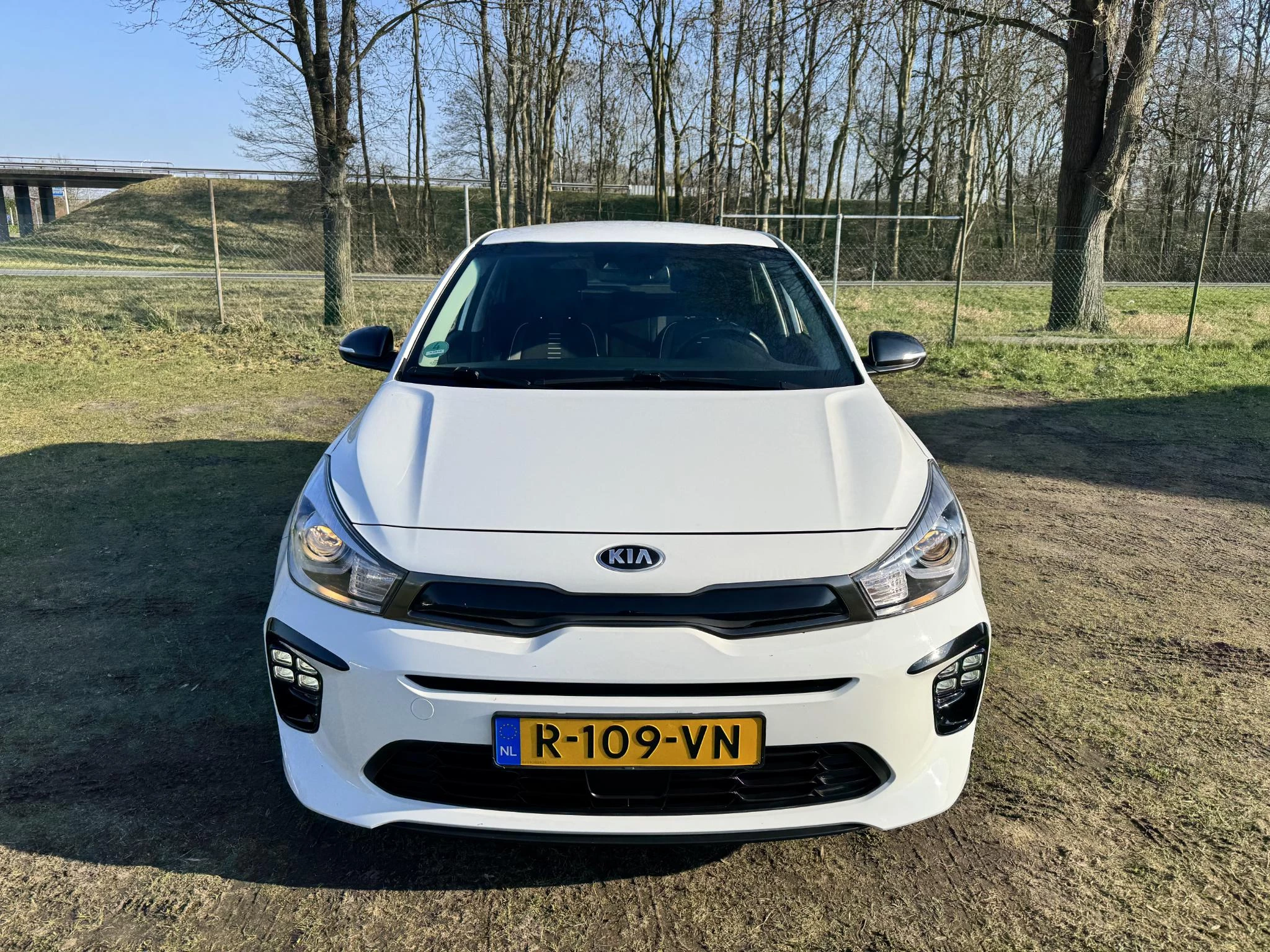 Hoofdafbeelding Kia Rio
