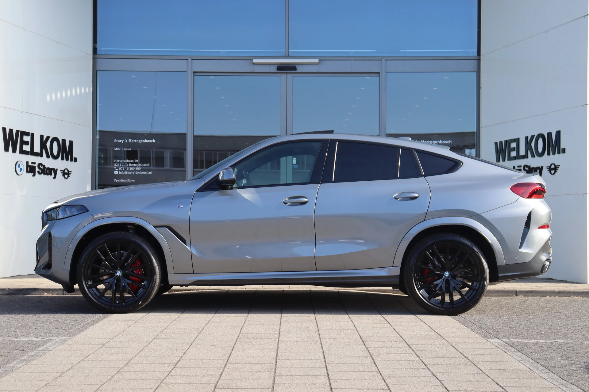 Hoofdafbeelding BMW X6