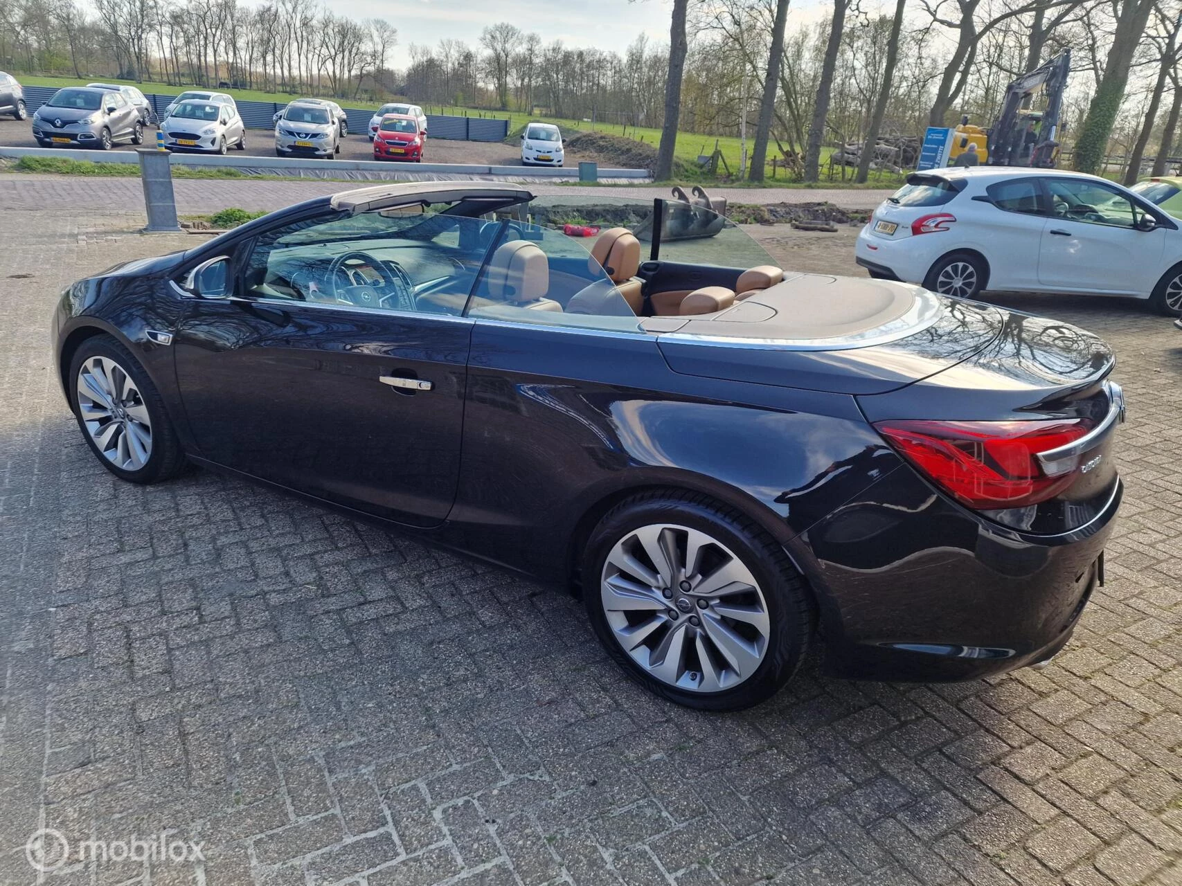 Hoofdafbeelding Opel Cascada