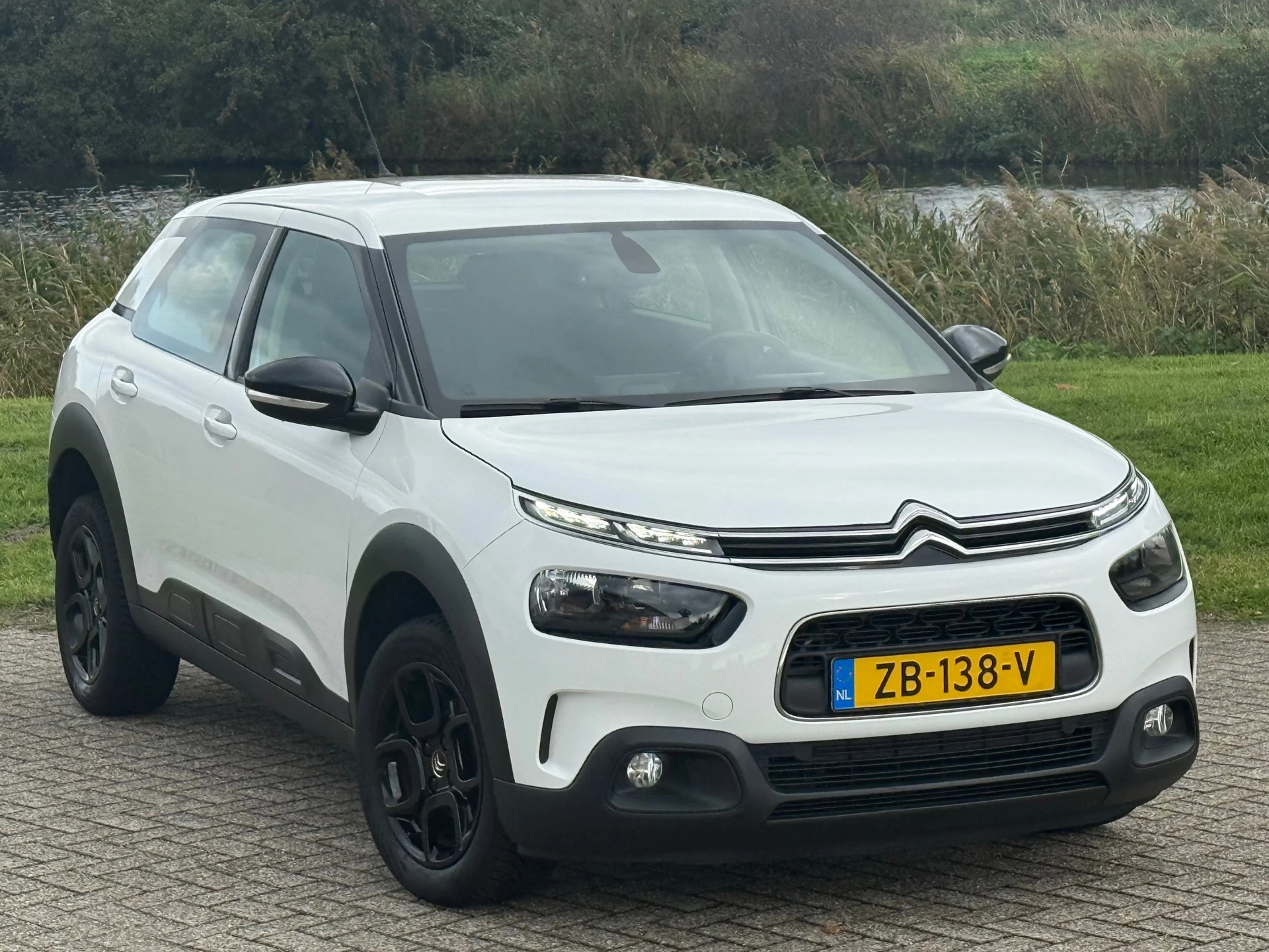 Hoofdafbeelding Citroën C4 Cactus