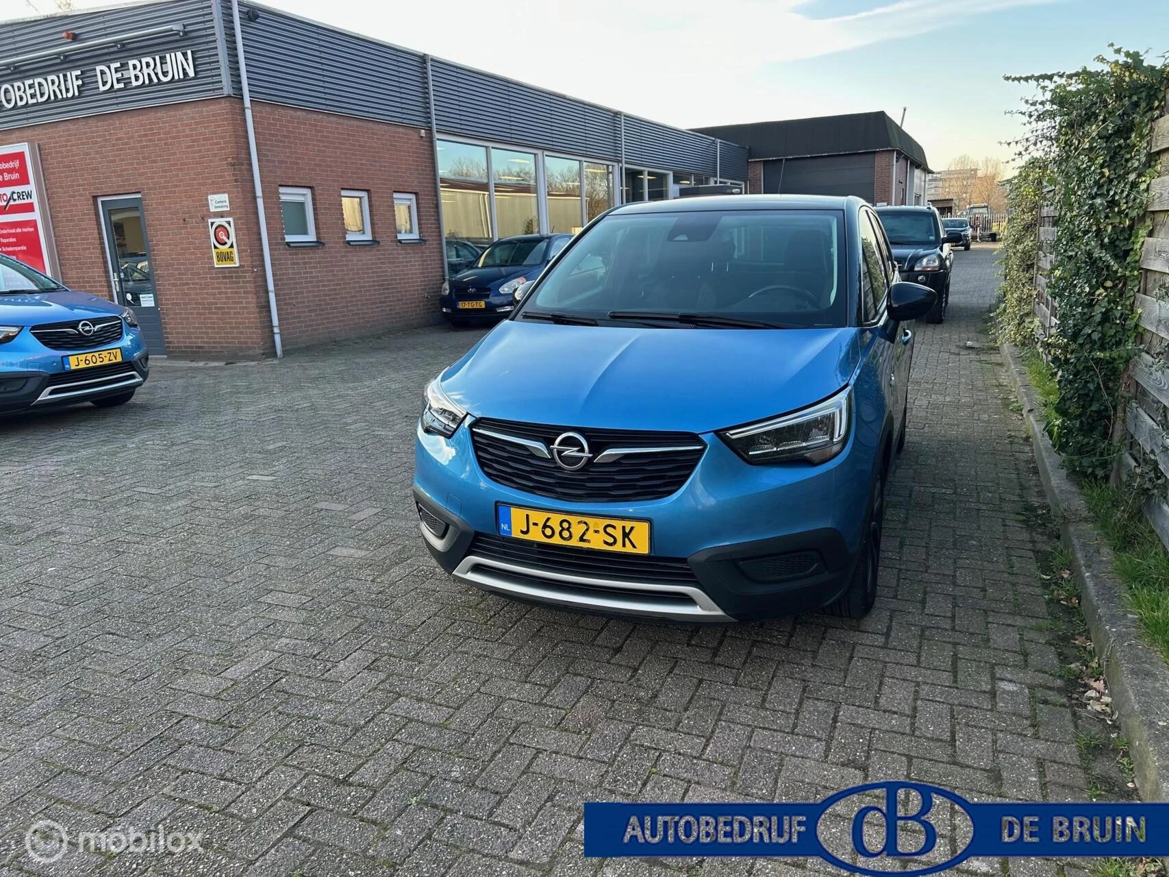 Hoofdafbeelding Opel Crossland X
