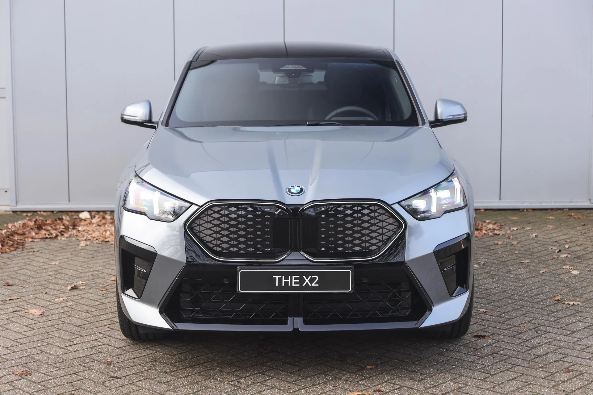 Hoofdafbeelding BMW iX2