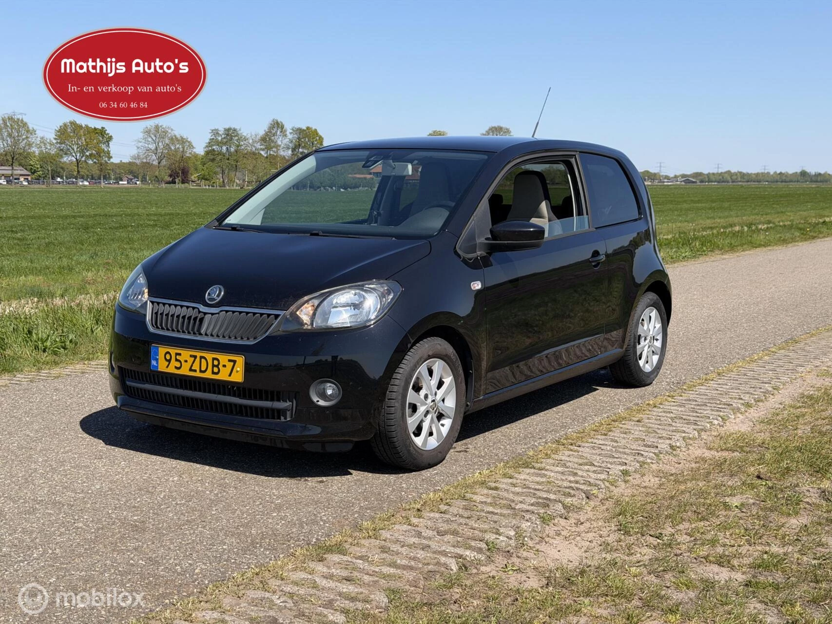 Hoofdafbeelding Škoda Citigo