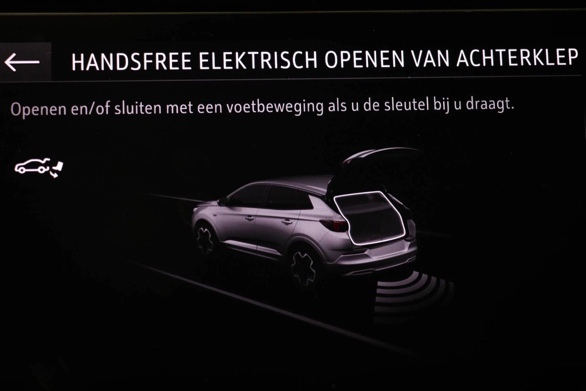 Hoofdafbeelding Opel Grandland