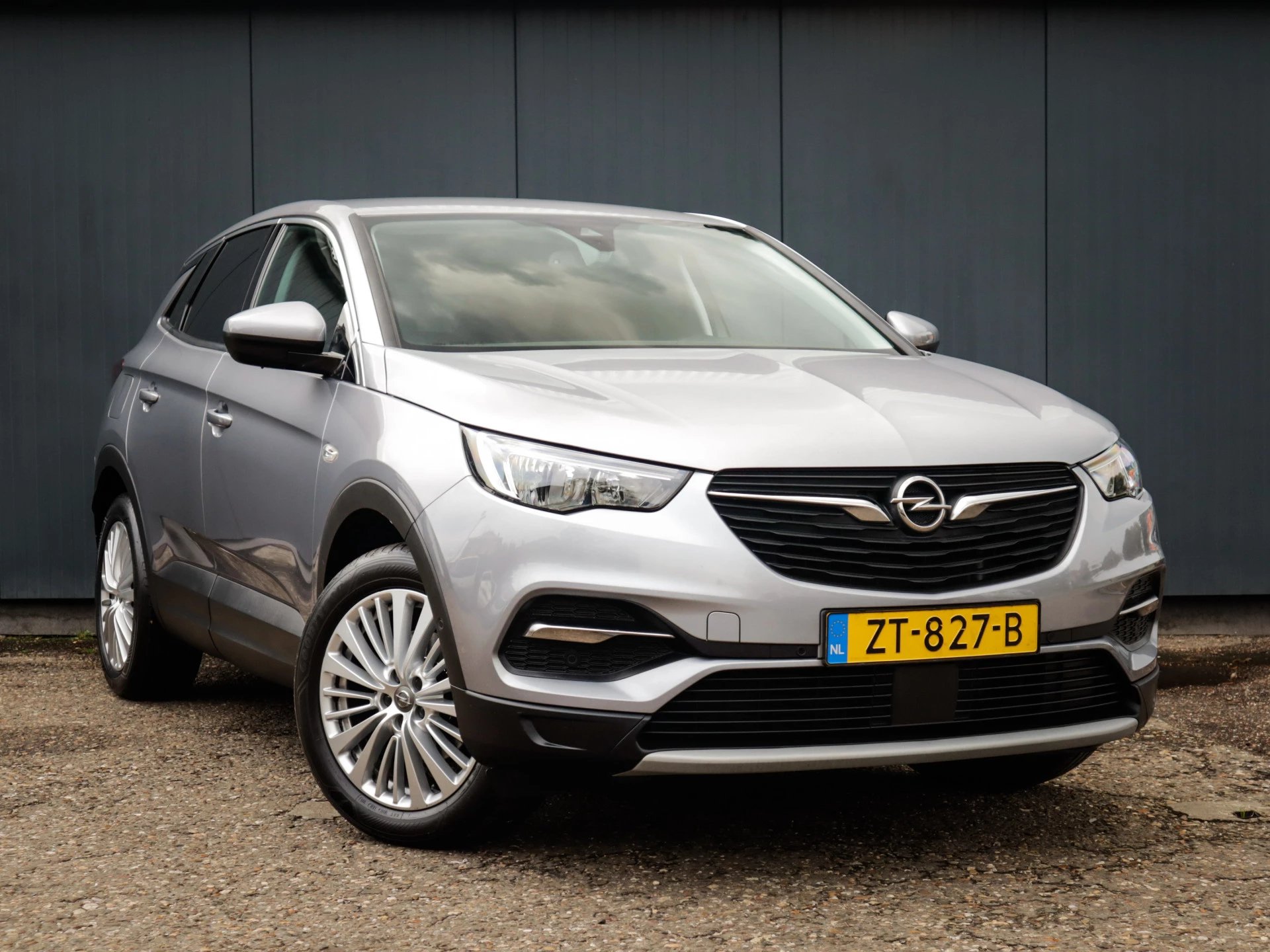 Hoofdafbeelding Opel Grandland X