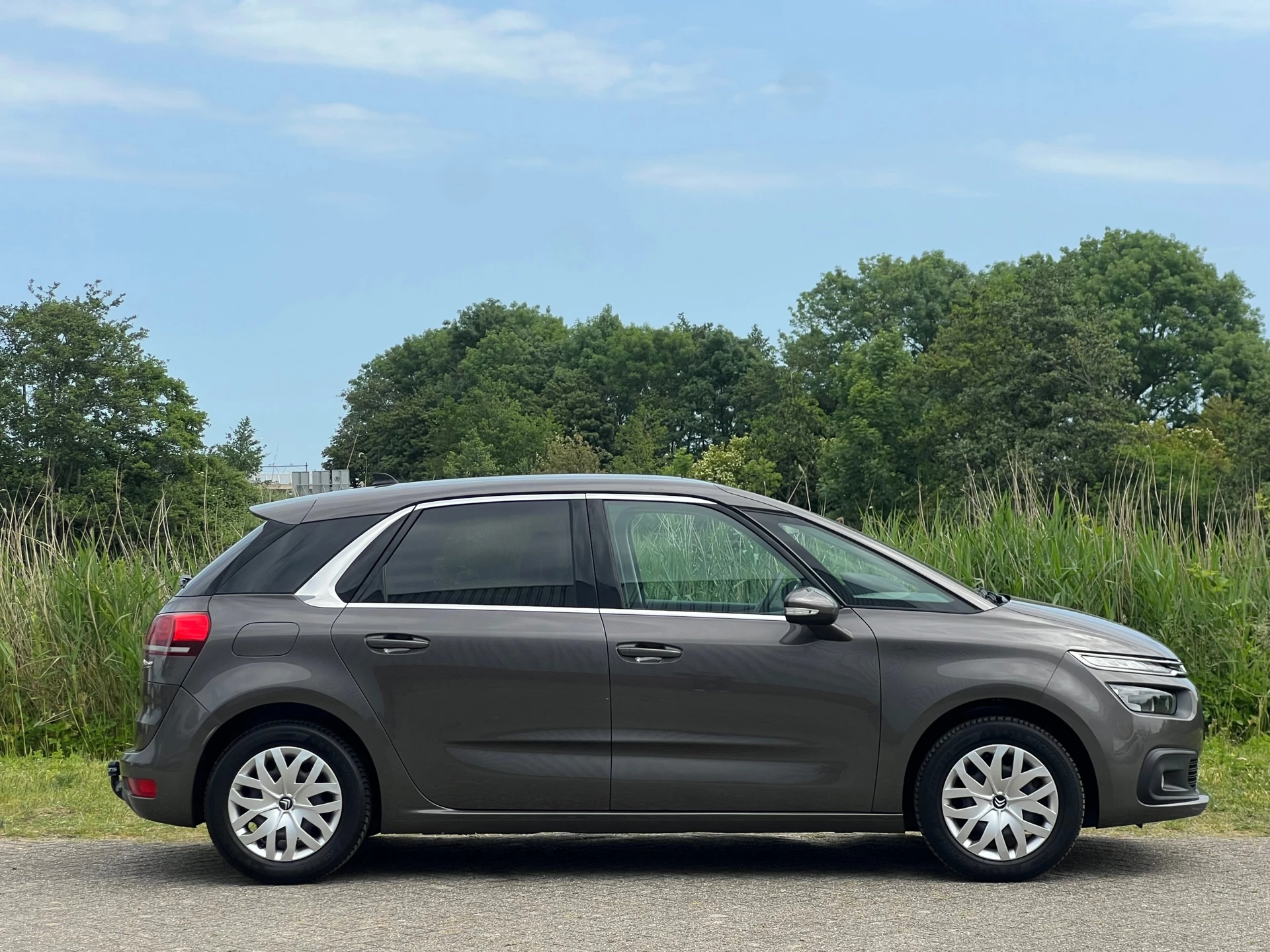 Hoofdafbeelding Citroën C4 Picasso