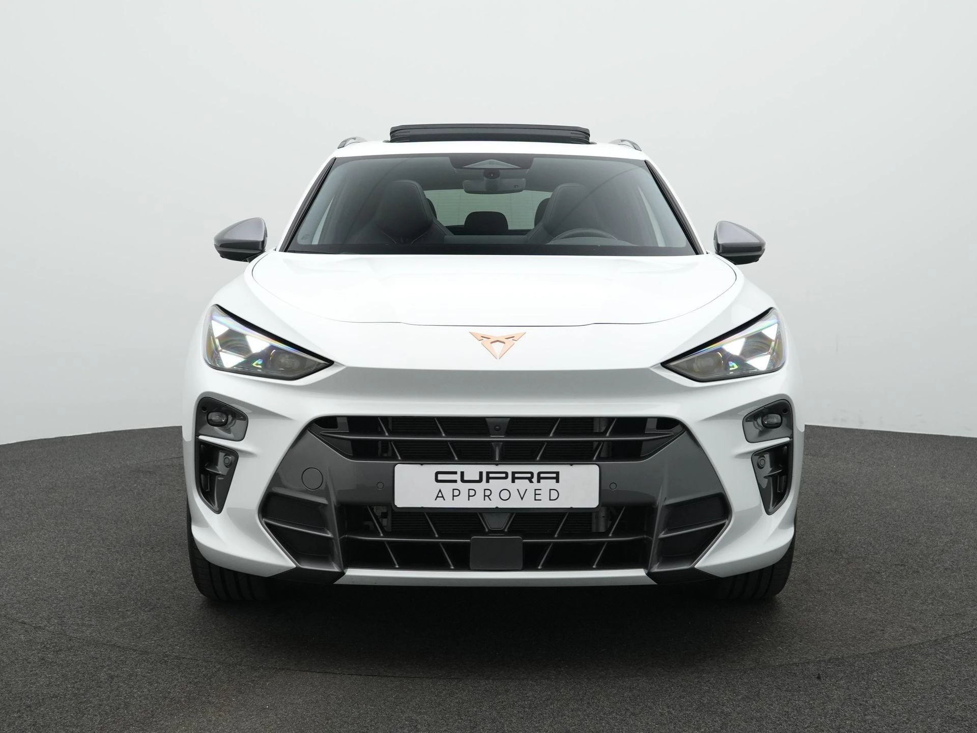 Hoofdafbeelding CUPRA Terramar