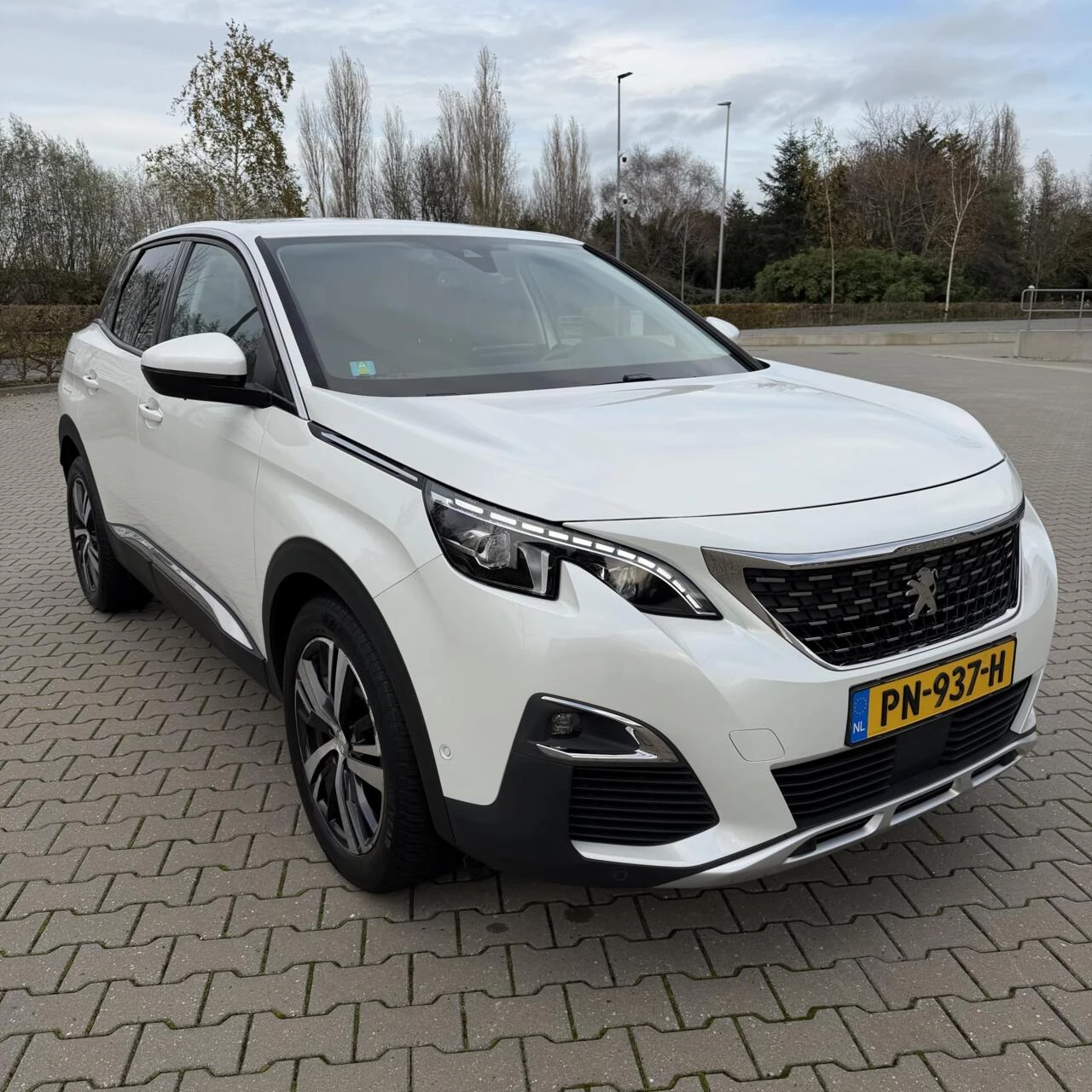 Hoofdafbeelding Peugeot 3008