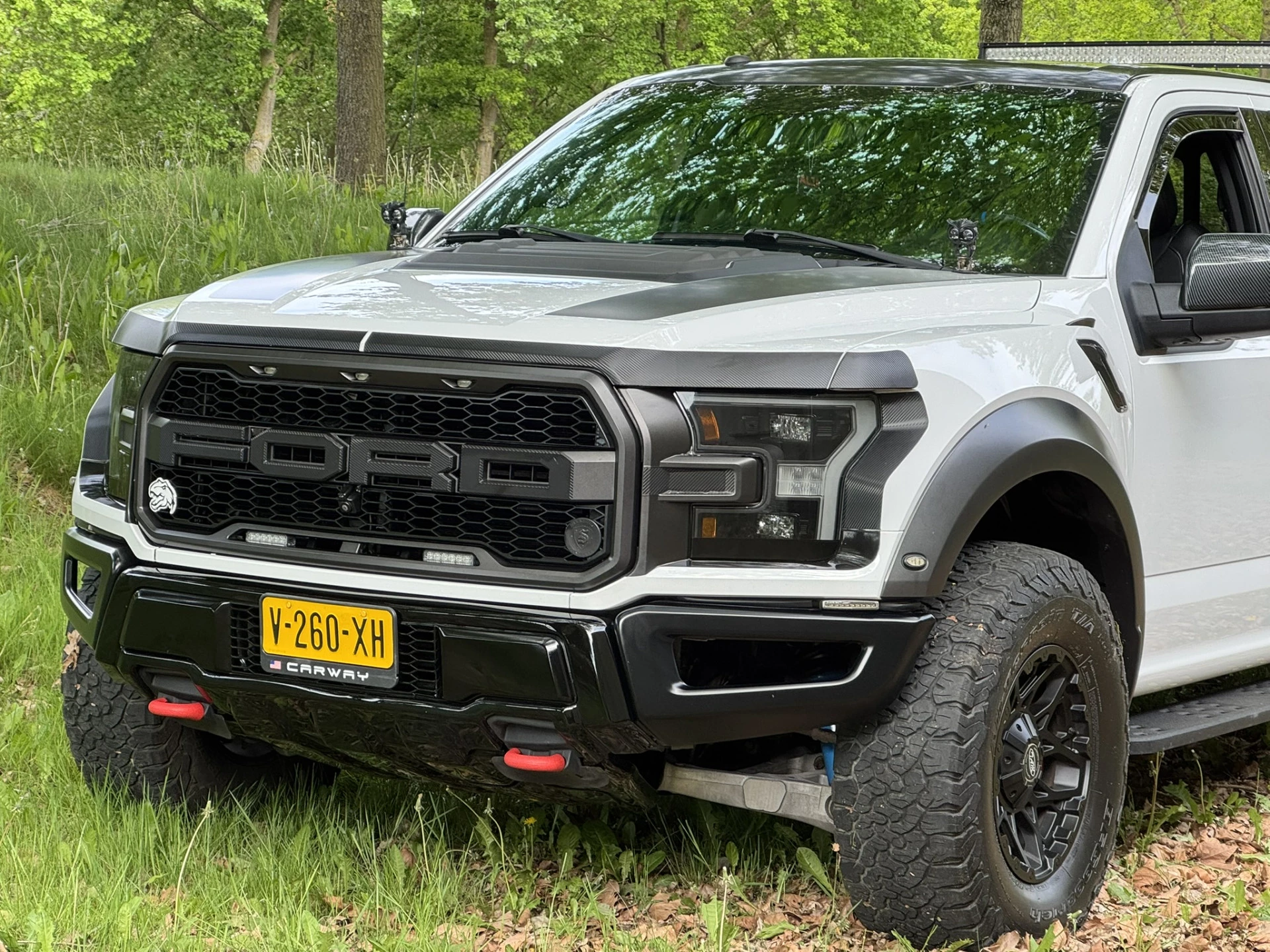 Hoofdafbeelding Ford F-150