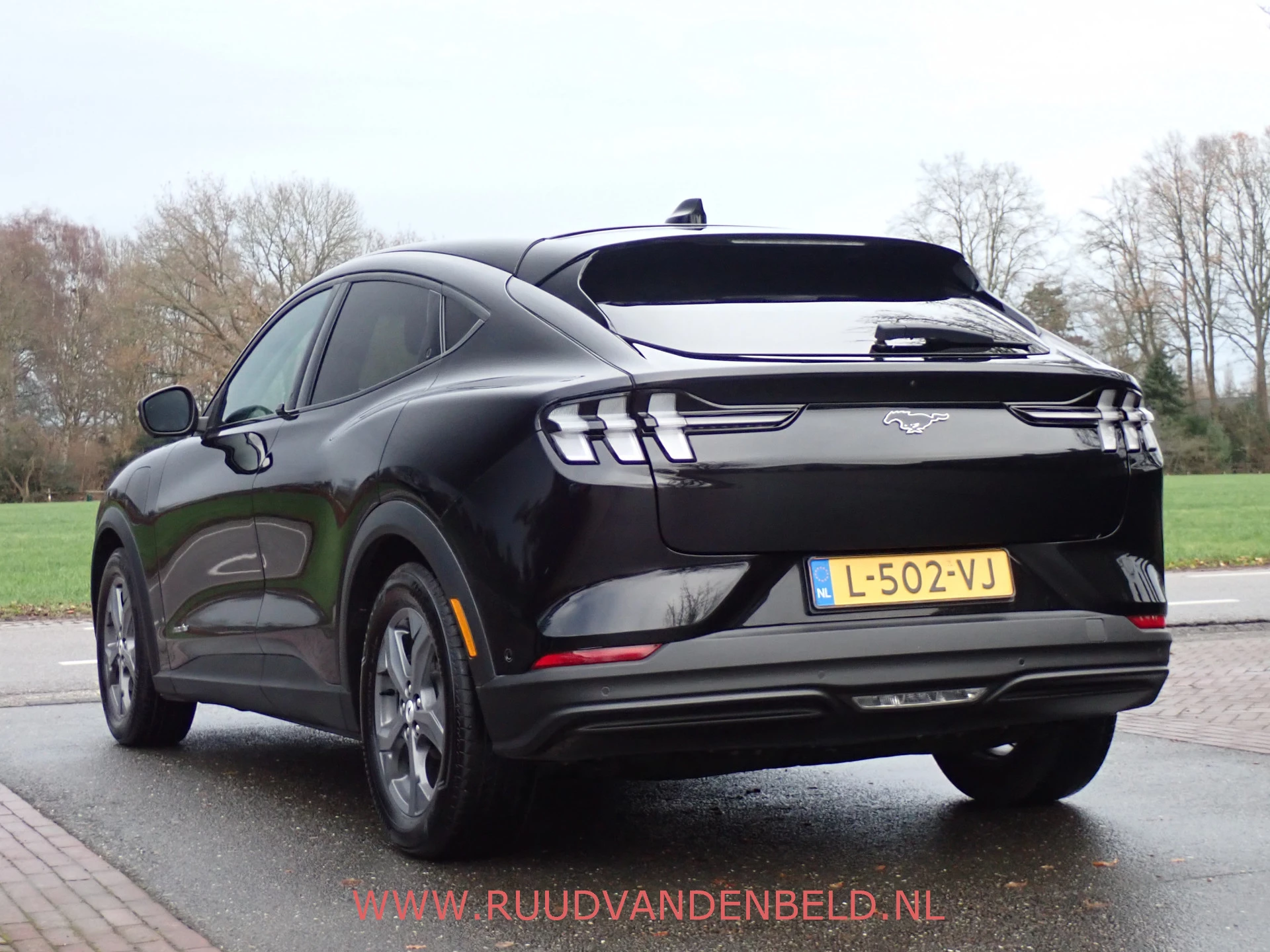 Hoofdafbeelding Ford Mustang Mach-E