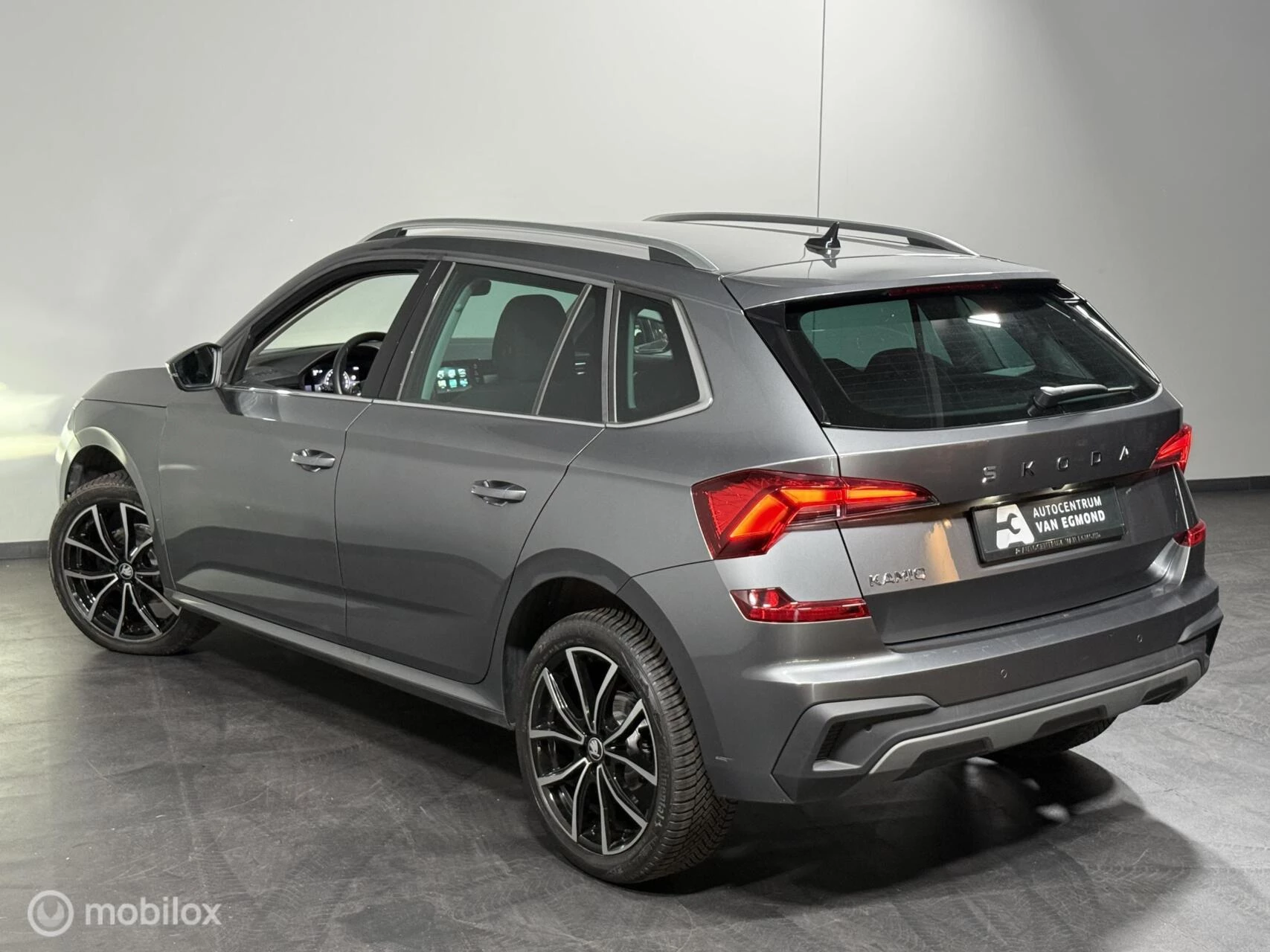 Hoofdafbeelding Škoda Kamiq