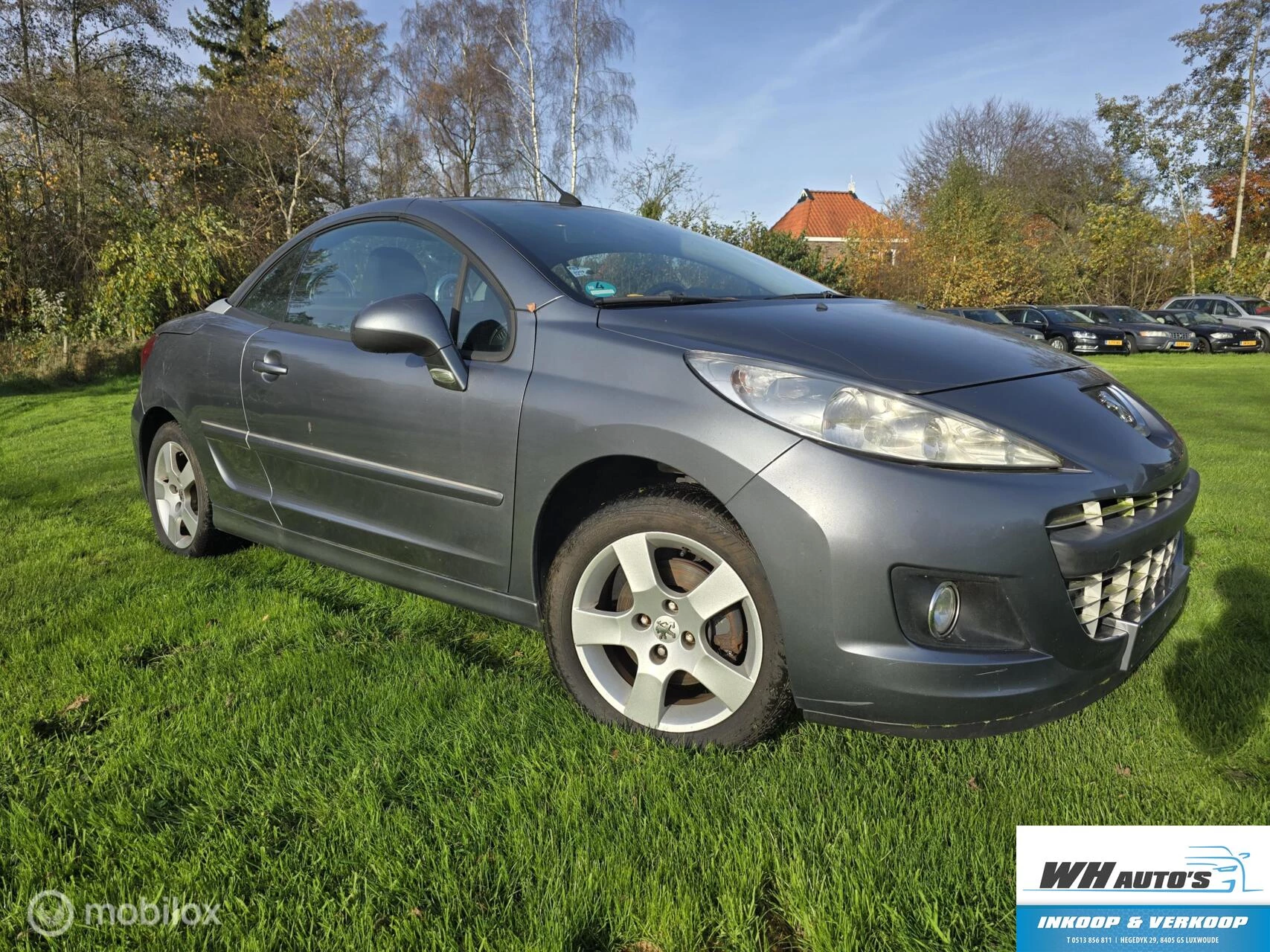 Hoofdafbeelding Peugeot 207