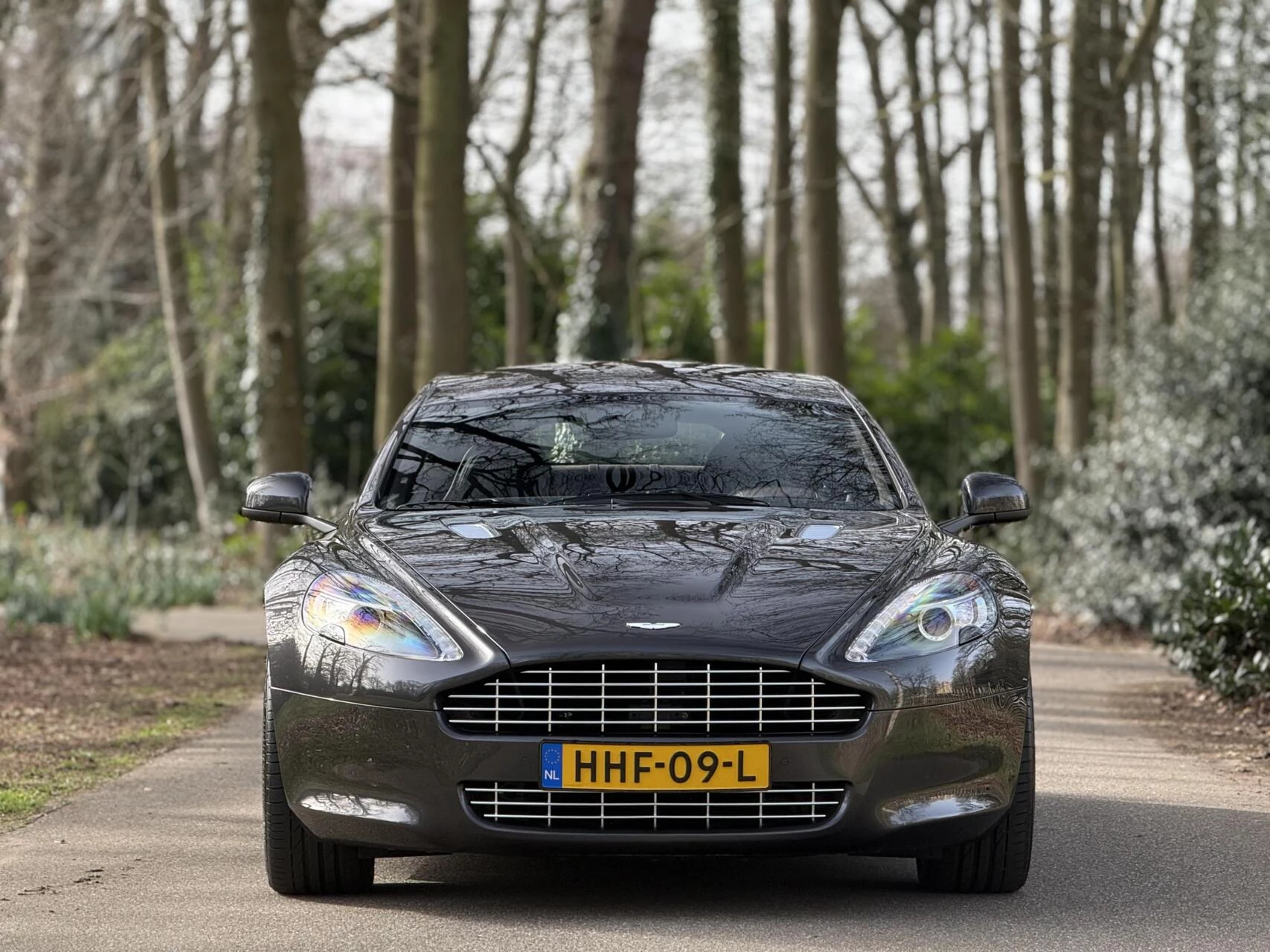Hoofdafbeelding Aston Martin Rapide