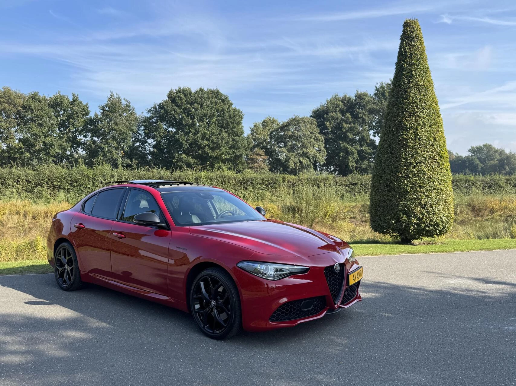 Hoofdafbeelding Alfa Romeo Giulia