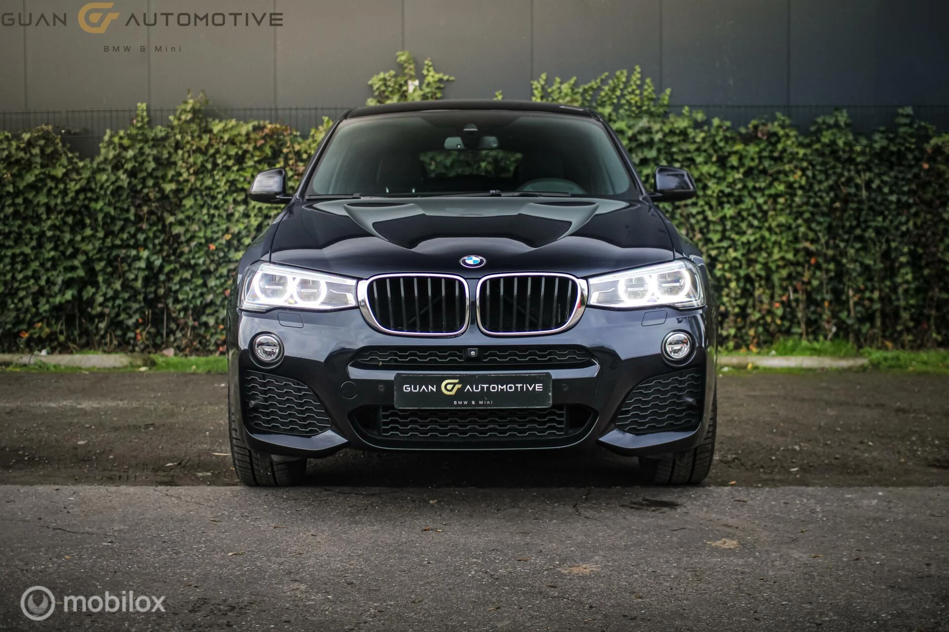 Hoofdafbeelding BMW X4